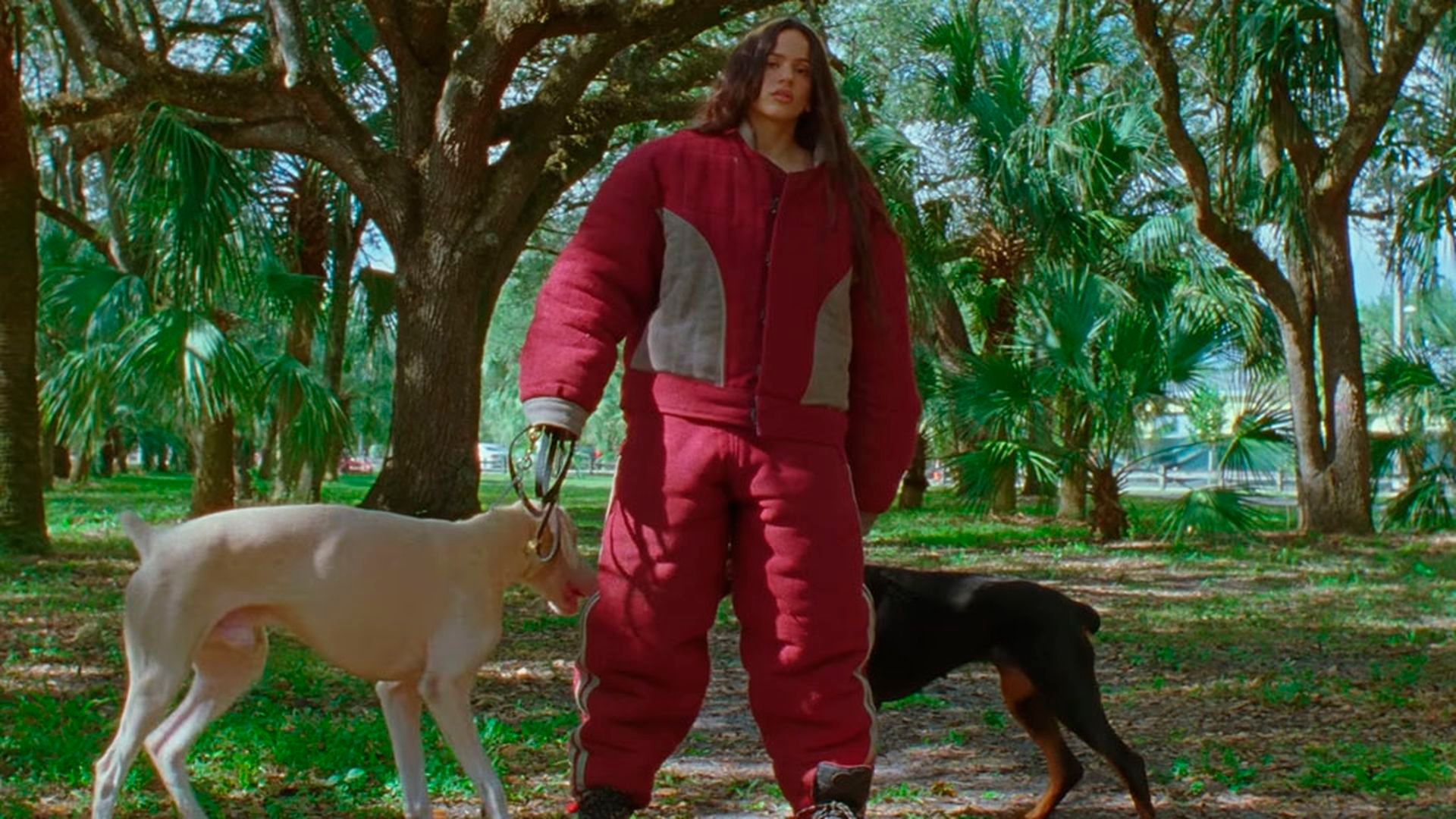 Rosalía, junto a dos perros en el videoclip de 'La perla'