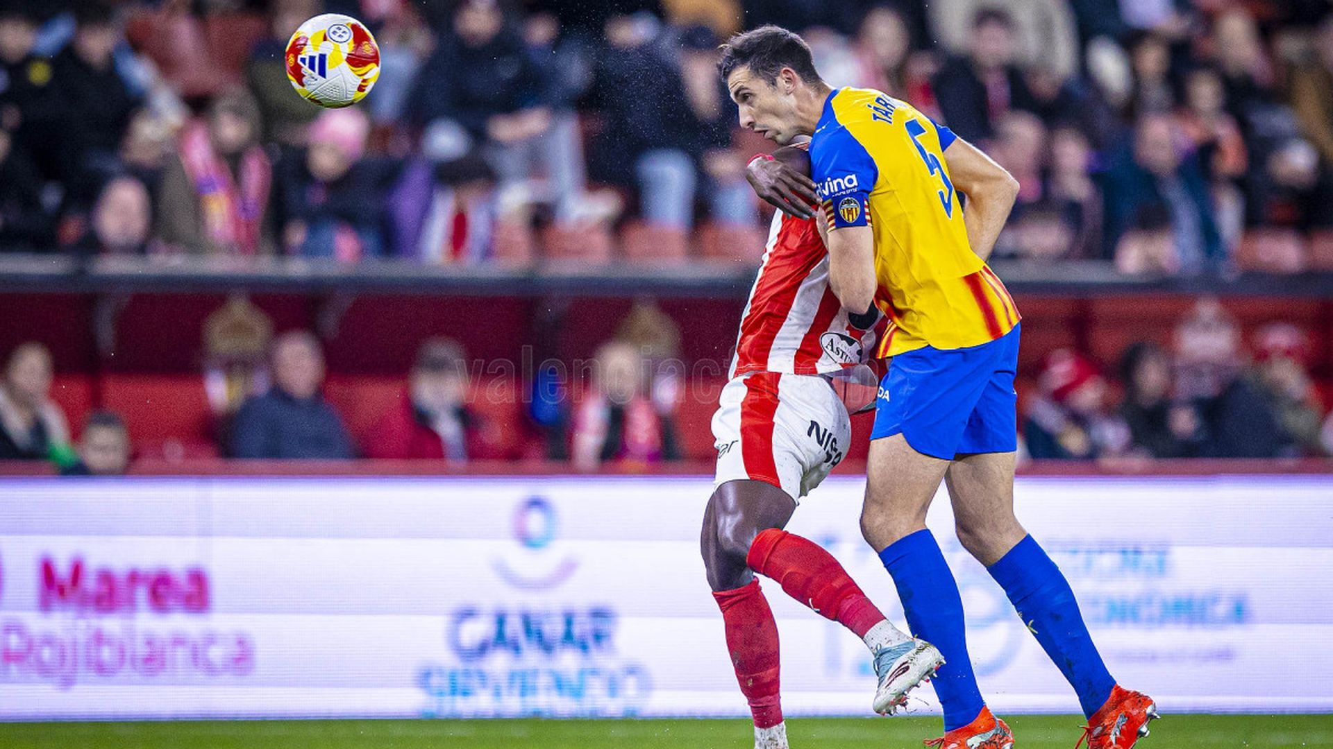 Tárrega en el Sporting - Valencia CF