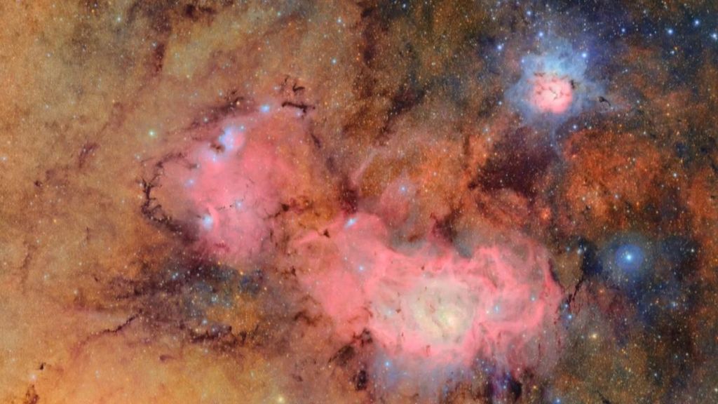 El vídeo con las mejores imágenes de fotos de ciencia y naturaleza del año