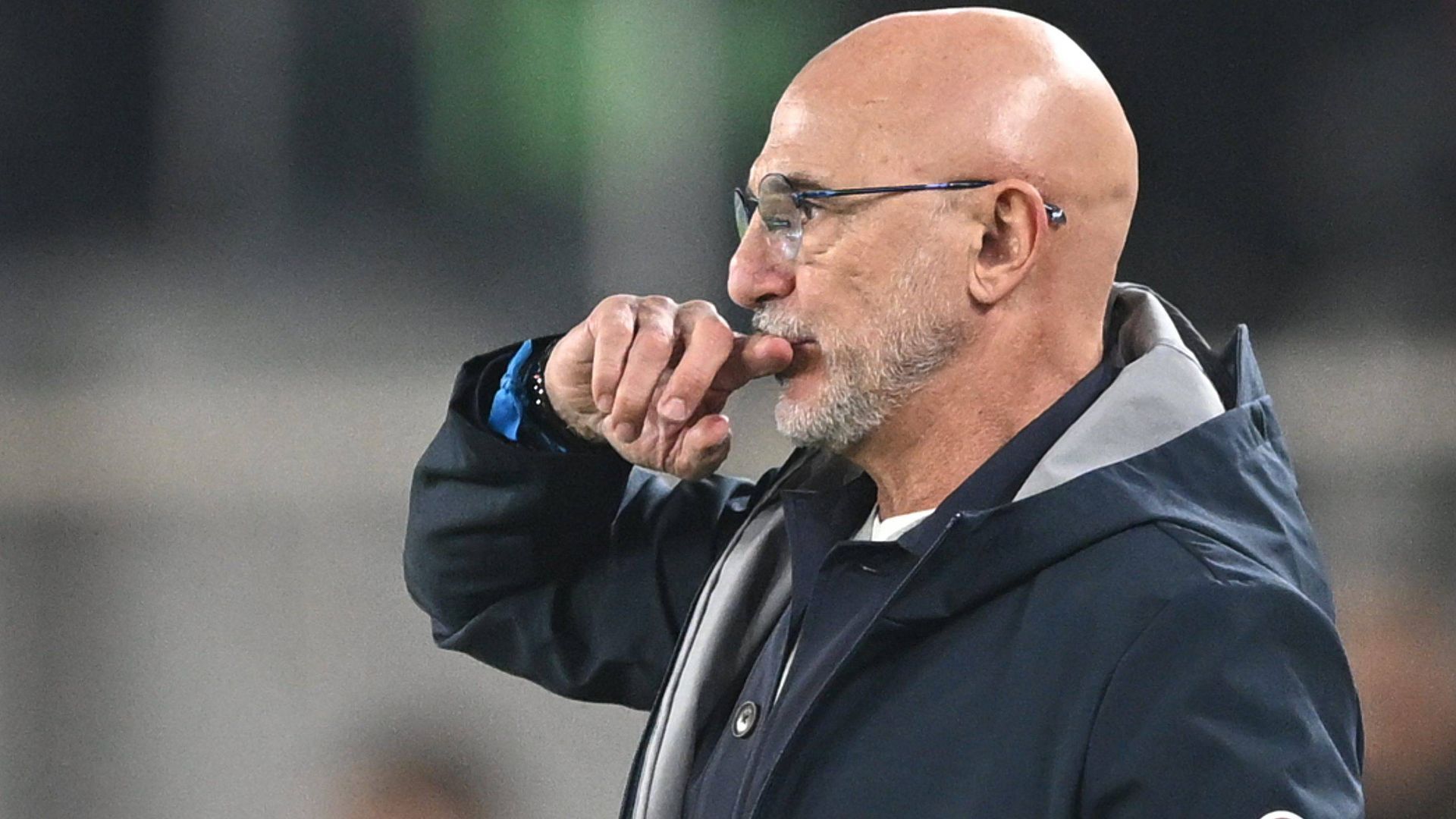 Luis de la Fuente en un partido de la Selección Española