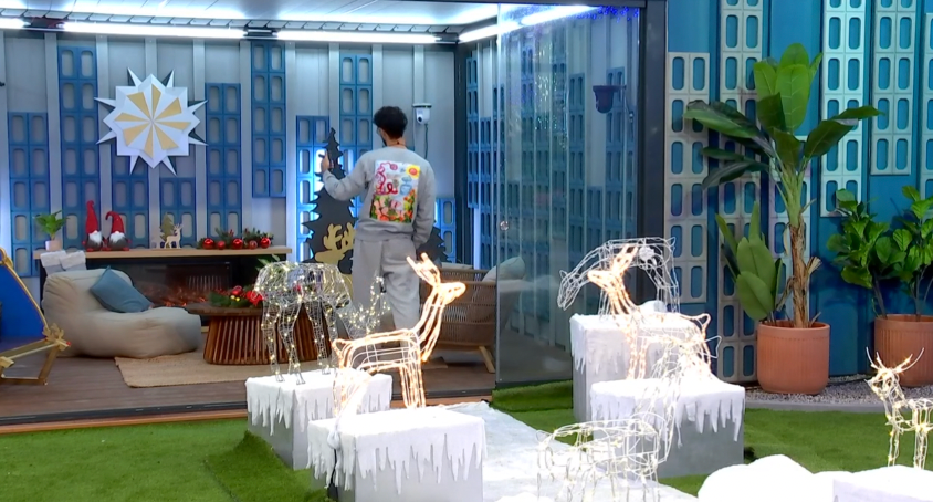 Quili despidiéndose de la pajarería