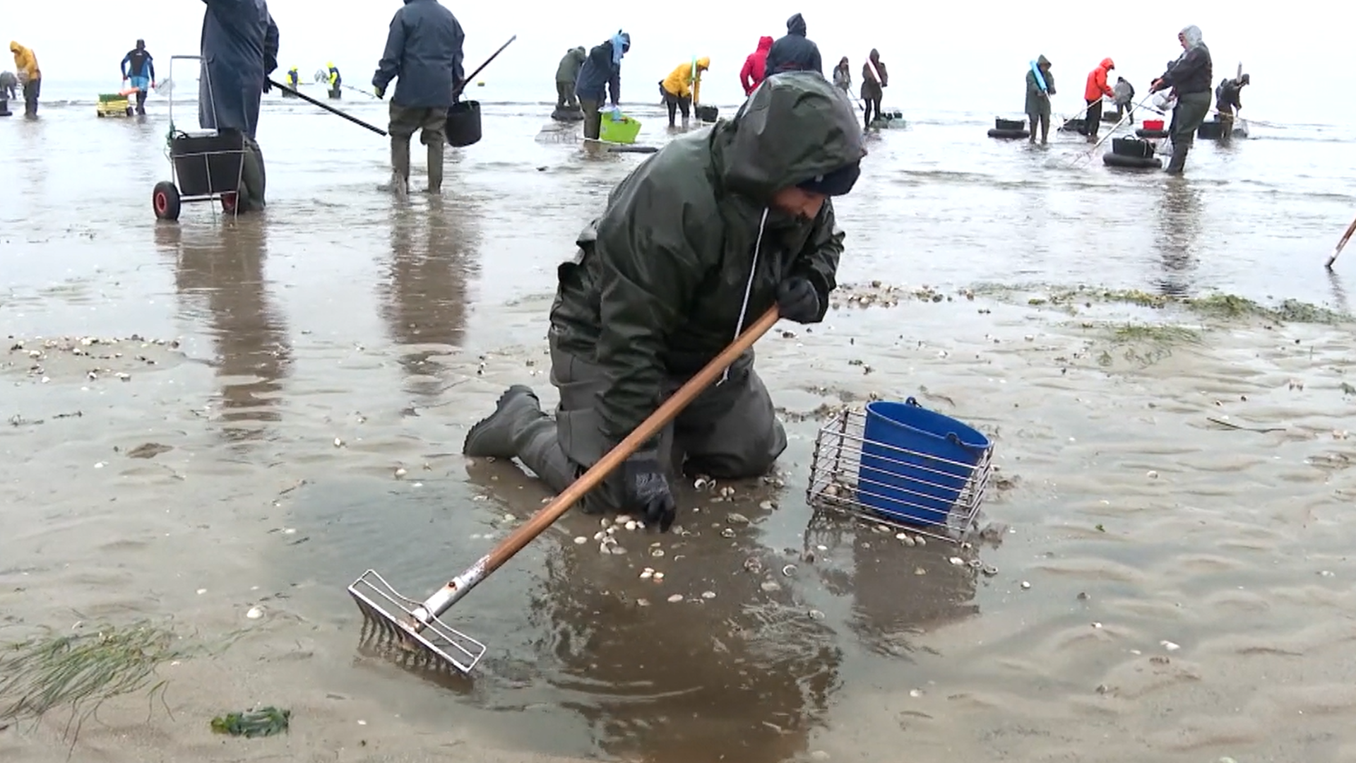 El trabajo de las mariscadoras gallegas en pleno temporal: las duras condiciones a las que se enfrentan El trabajo de las mariscadoras gallegas en pleno temporal: las duras condiciones a las que se enfrentan