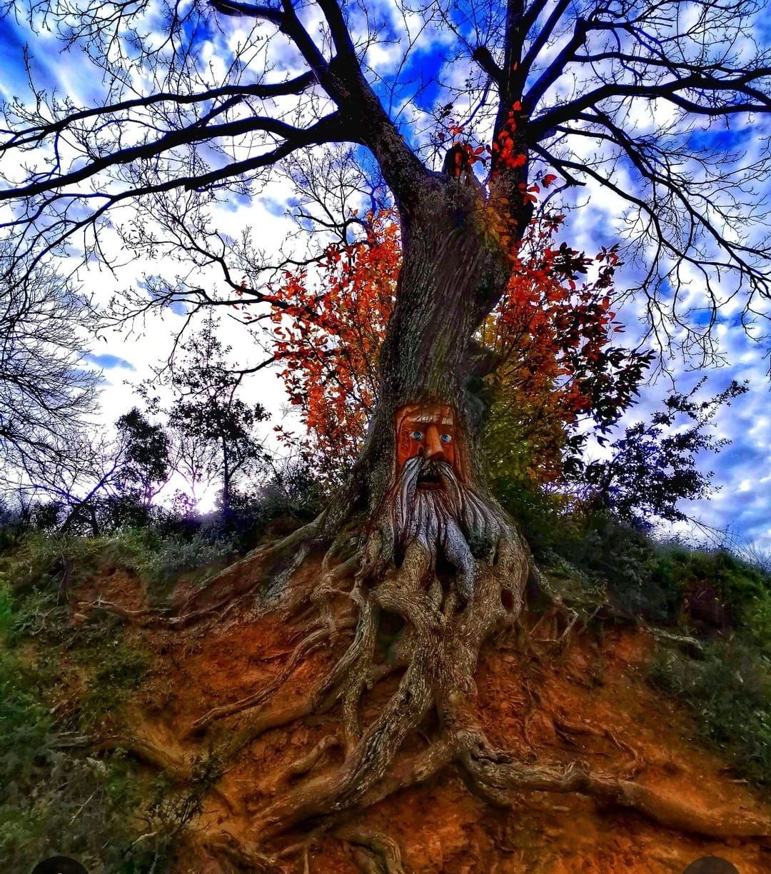 Figura esculpida en un castaño