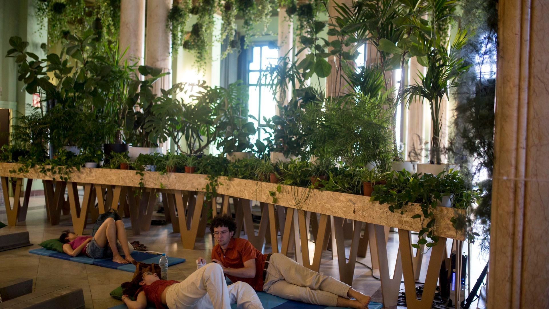 Refugio climático en el Círculo de Bellas Artes de Madrid