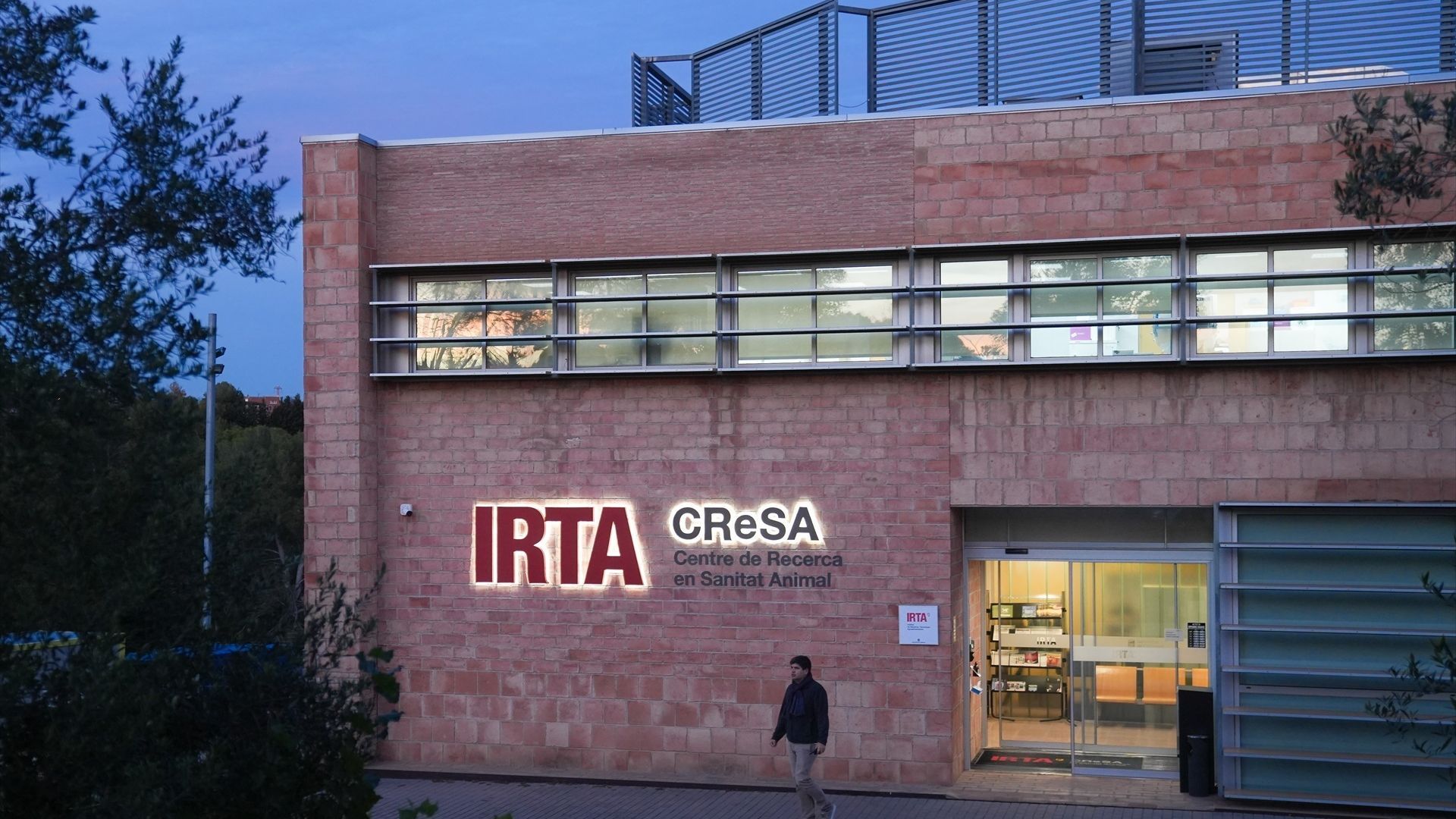 Registran el laboratorio IRTA-CReSA, investigado por la peste porcina Registran el laboratorio IRTA-CReSA, investigado por la peste porcina