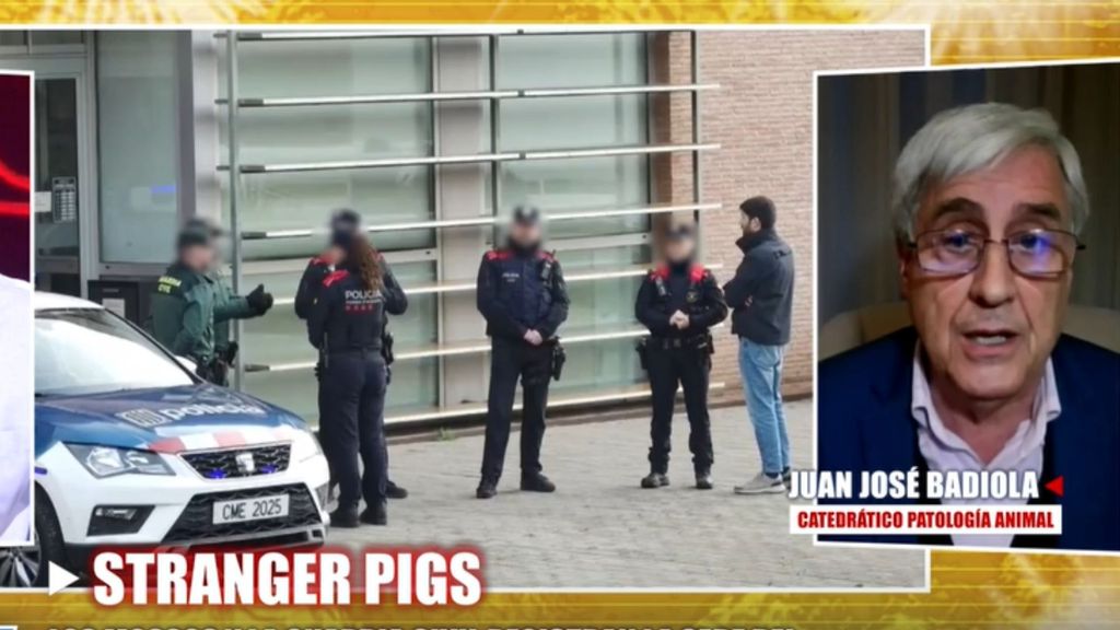 Un catedrático de la Patología Animal detalla la investigación en la sede del laboratorio señalado por la fuga de peste porcina