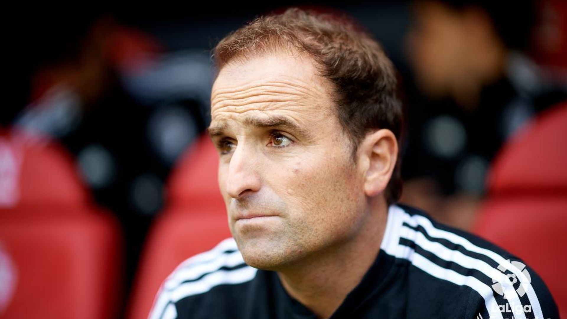 arrasate.jpg arrasate.jpg