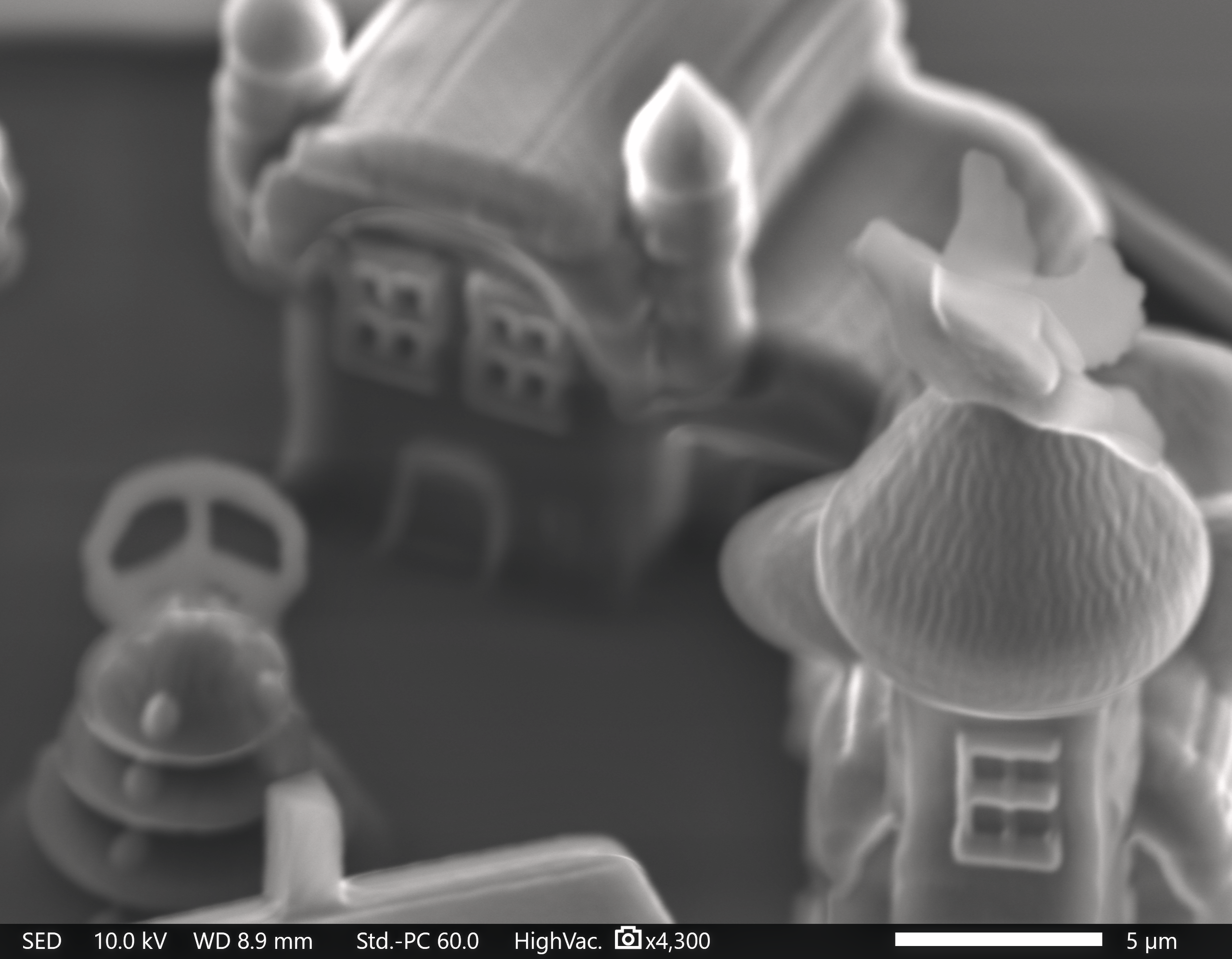 Imagen de la aldea microscópica