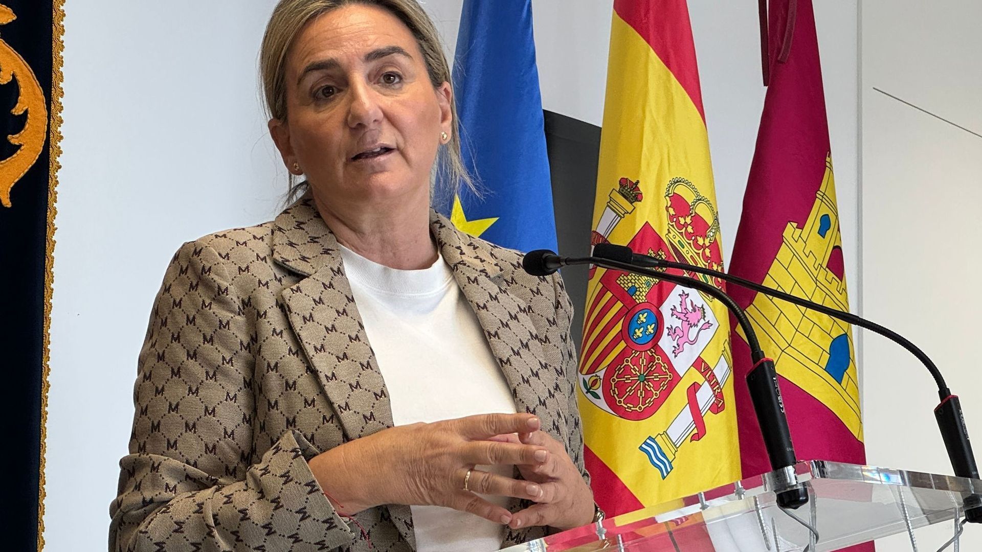 La delegada del Gobierno de España en Castilla-La Mancha, secretaria general del PSOE toledano y exalcaldesa de Toledo, Milagros Tolón.