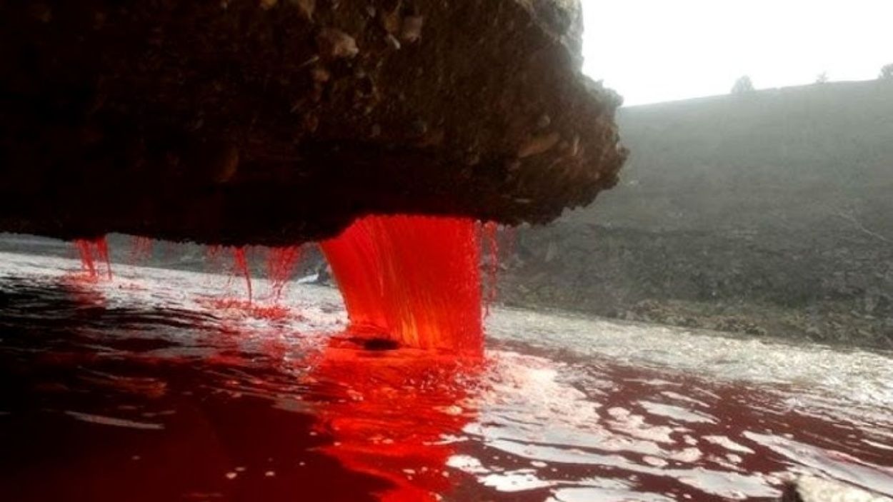 Cascadas de sangre