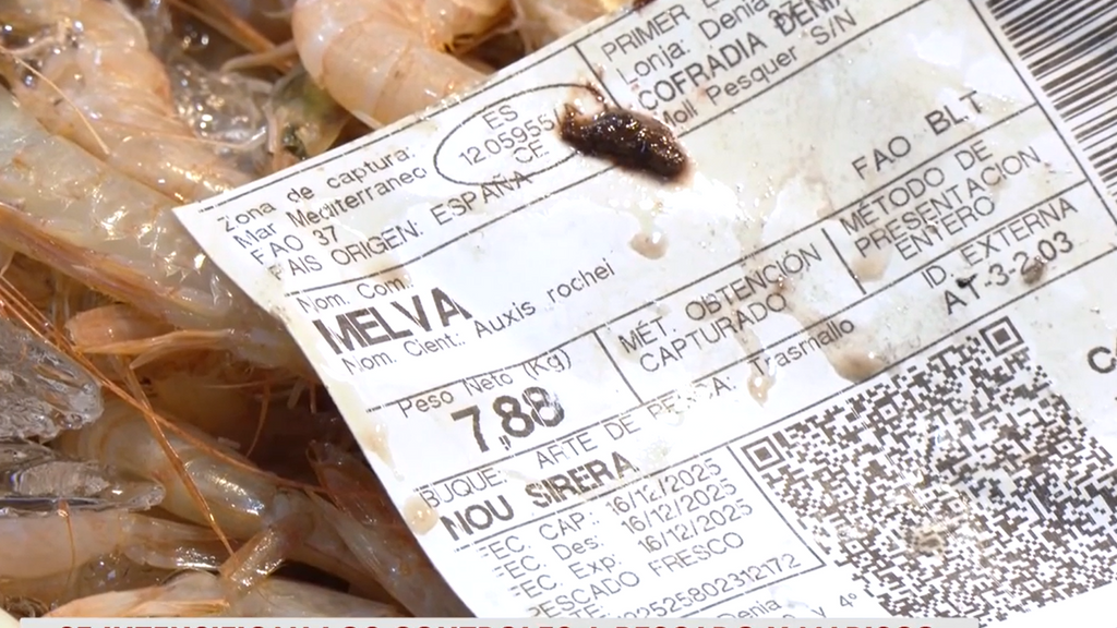 La Guardia Civil intensifica los controles de marisco y pescado en las lonjas para garantizar la seguridad alimentaria en Navidad