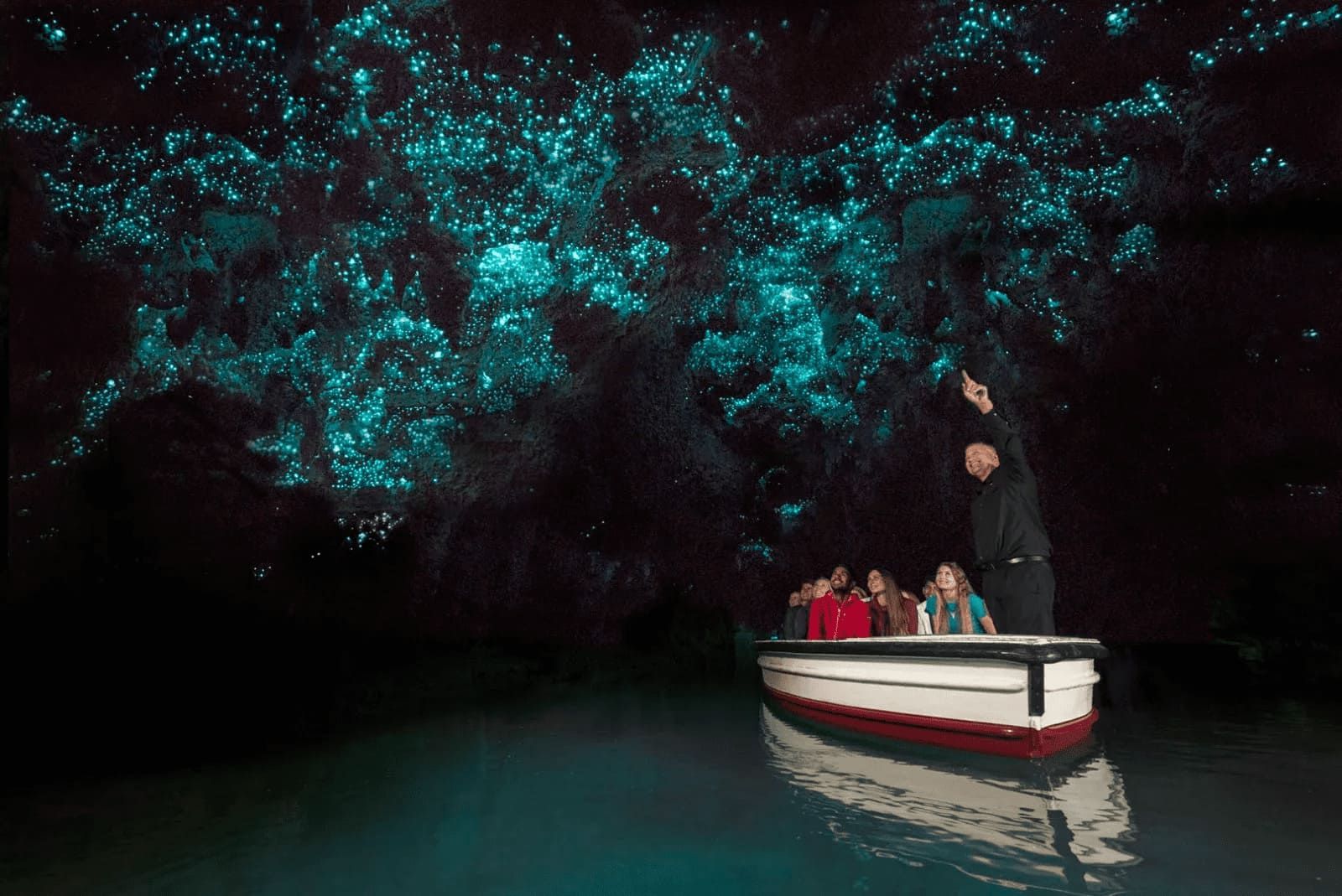 Waitomo Glowworm Caves