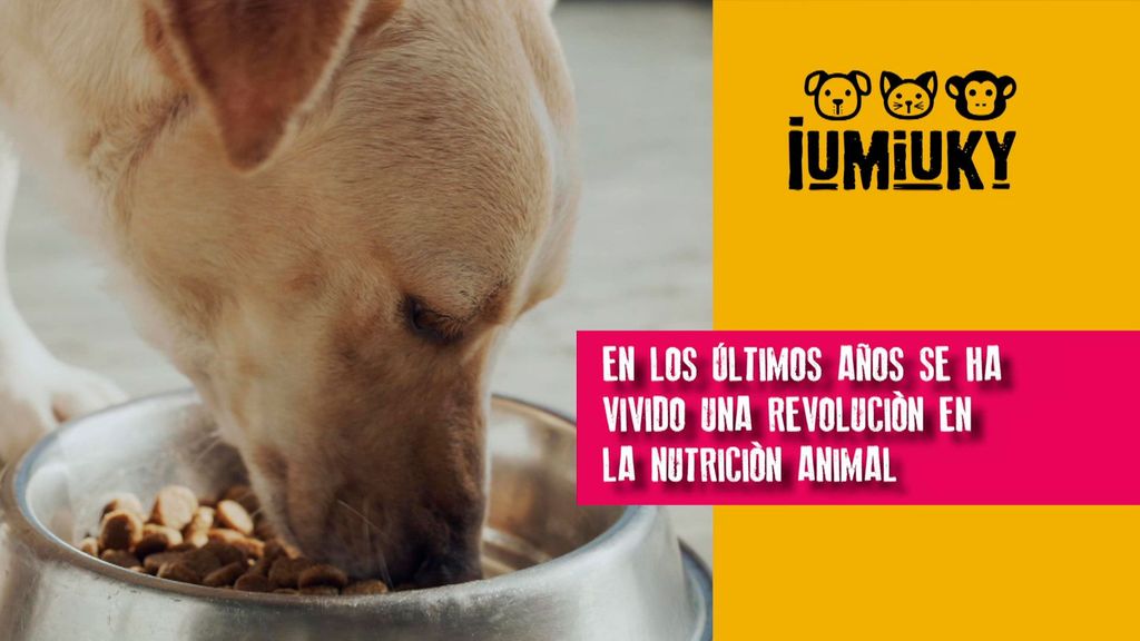 P299 - Alimentación funcional Iumiuky Temporada 3 Programa 299