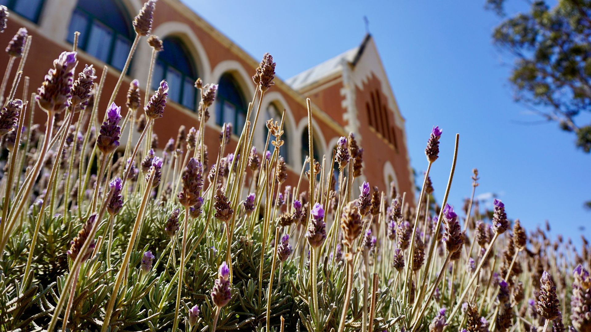 convento unsplash convento unsplash