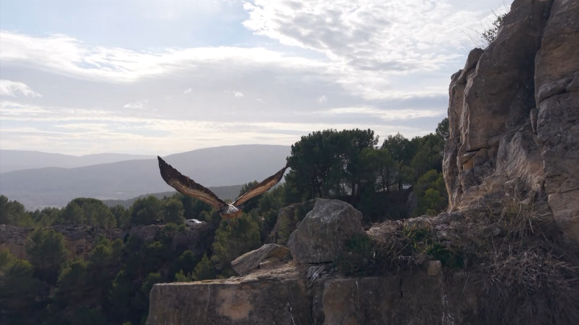 Cuatro razones para viajar a Alcoy