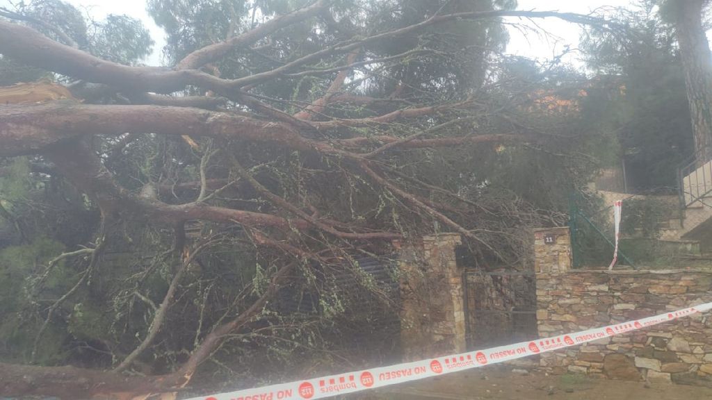 Temporal en Cataluña: una mujer está crítica tras caerle una farola en Sabadell, Barcelona