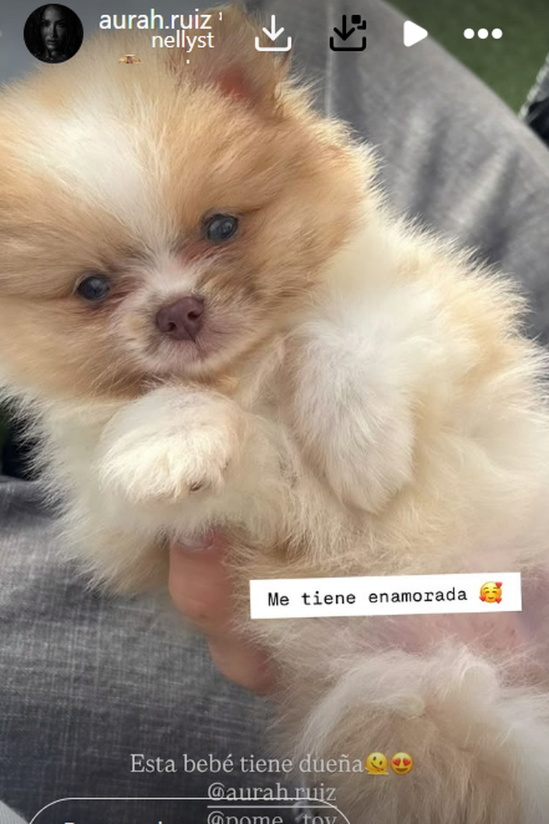 Aurah Ruiz muestra al nuevo miembro que ha llegado a su familia