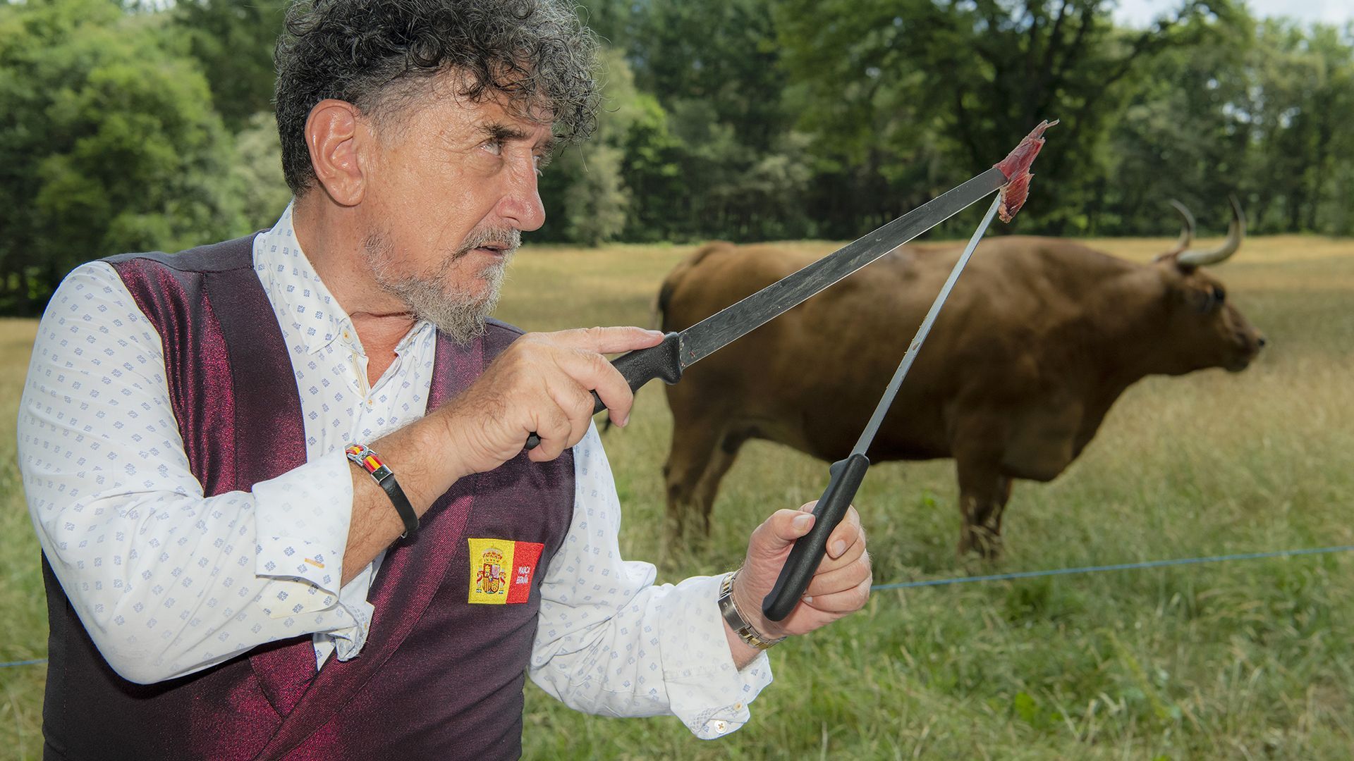 Toodo homenaje que se le haga al buey rubio gallego es poco