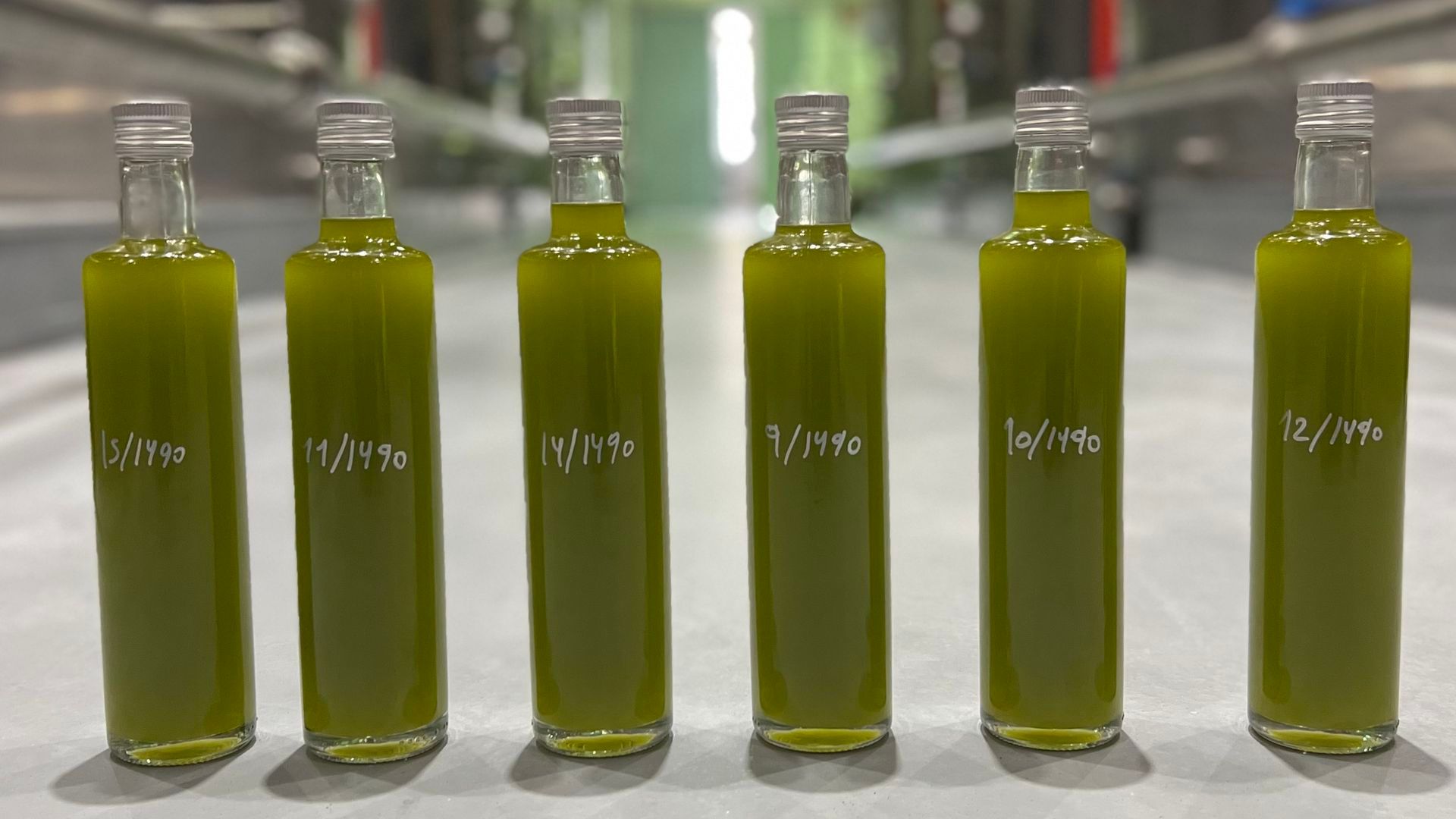 Ya puedes reservar tu botella para 2026