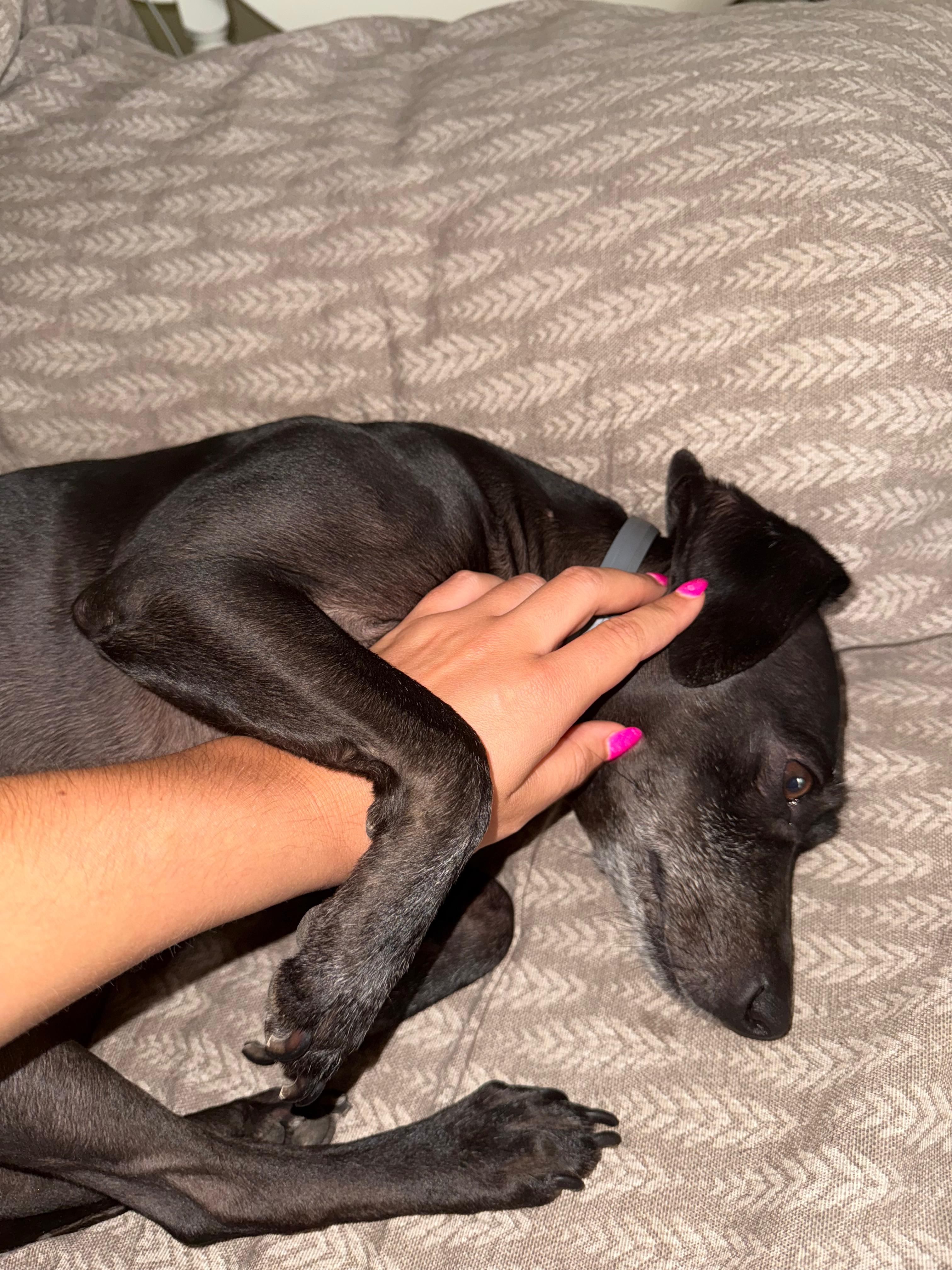 Kira, la mestiza de nueve años, una más de la familia