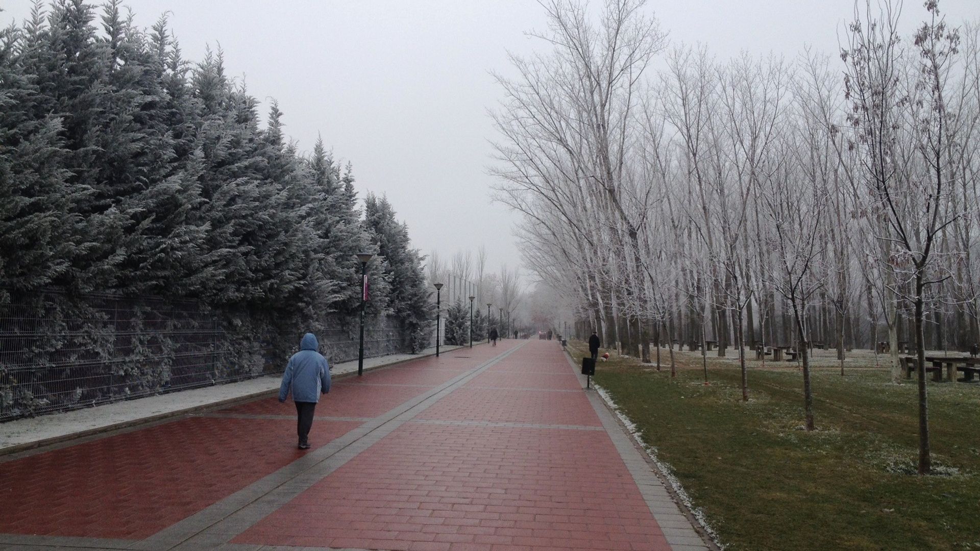 Frio y niebla en Valladolid