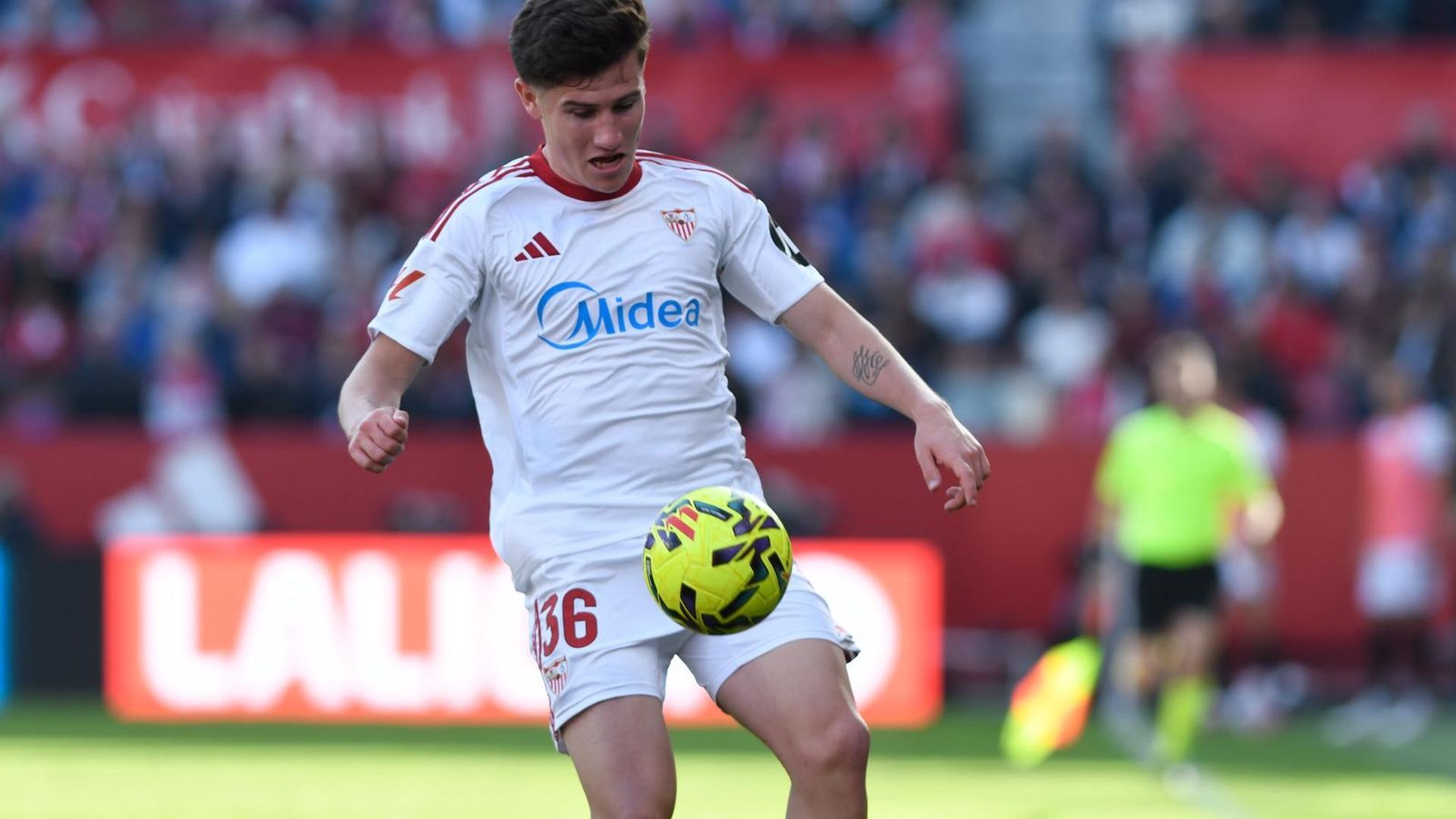 Oso, en el Sevilla - Oviedo