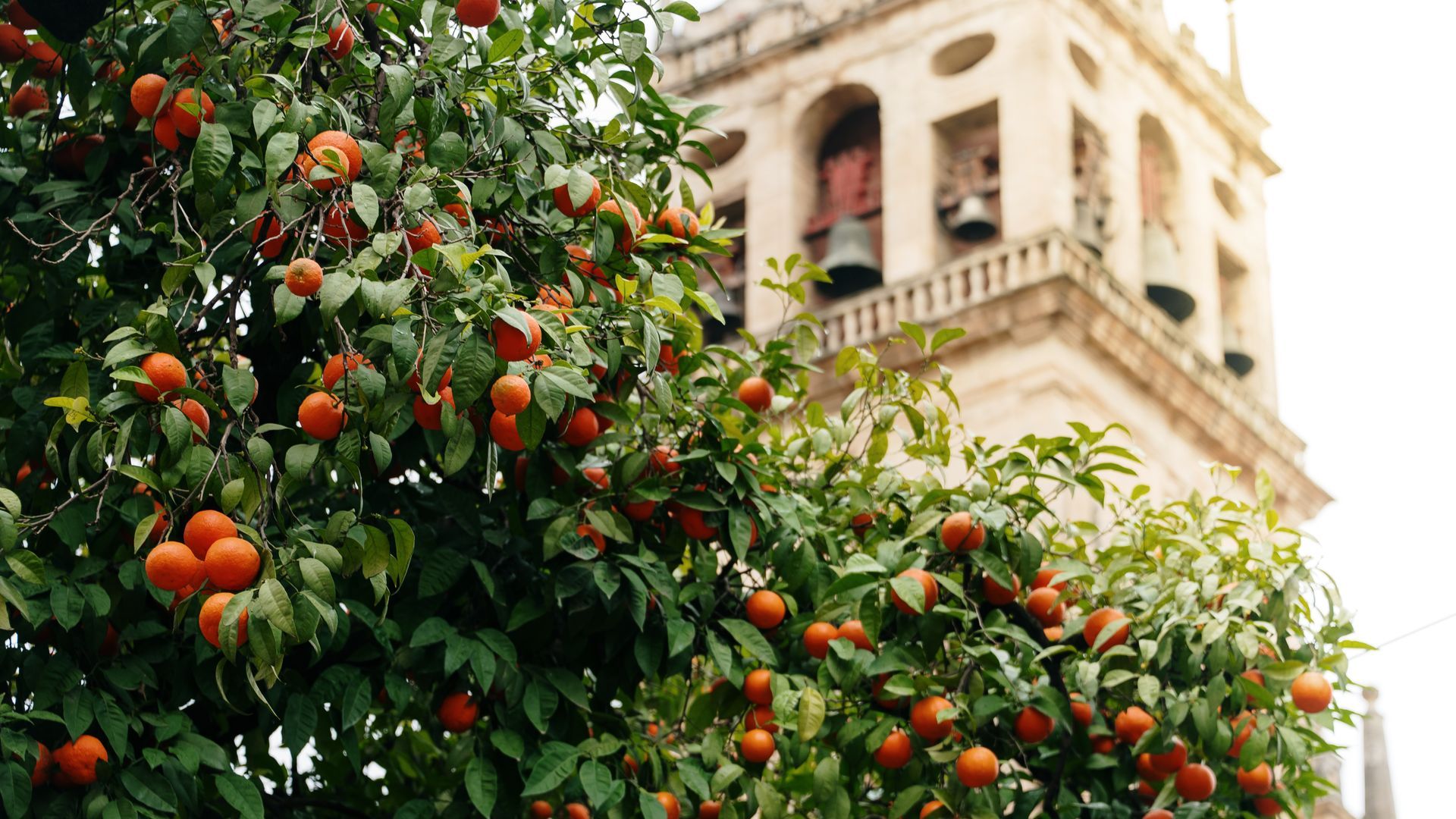 andalucia iStock-2197733606