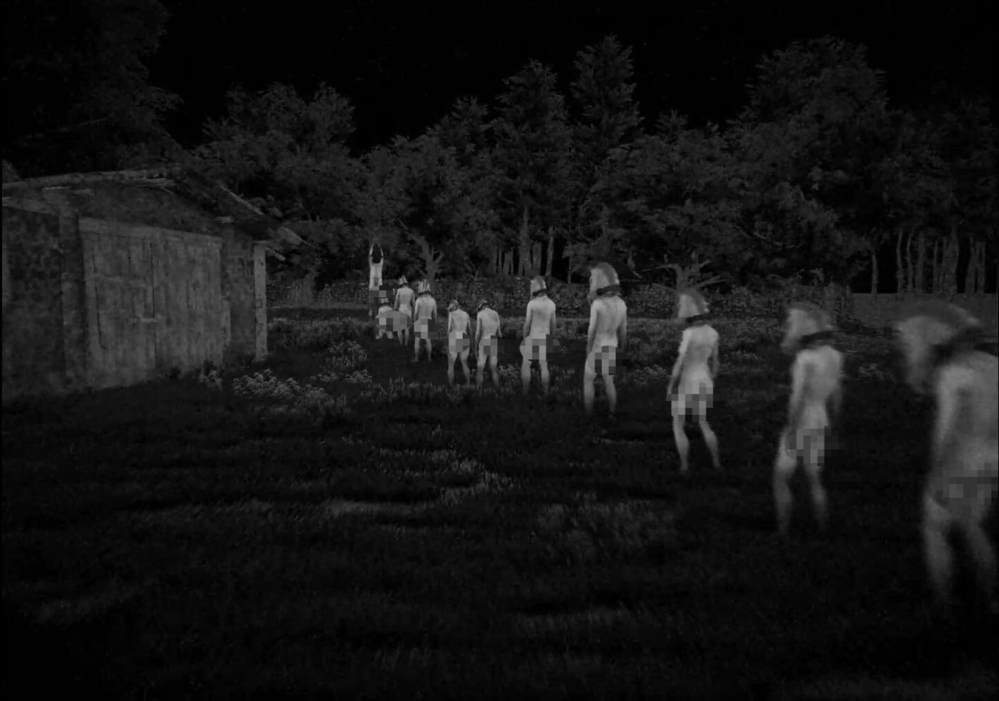 HORSES de Santa Regione