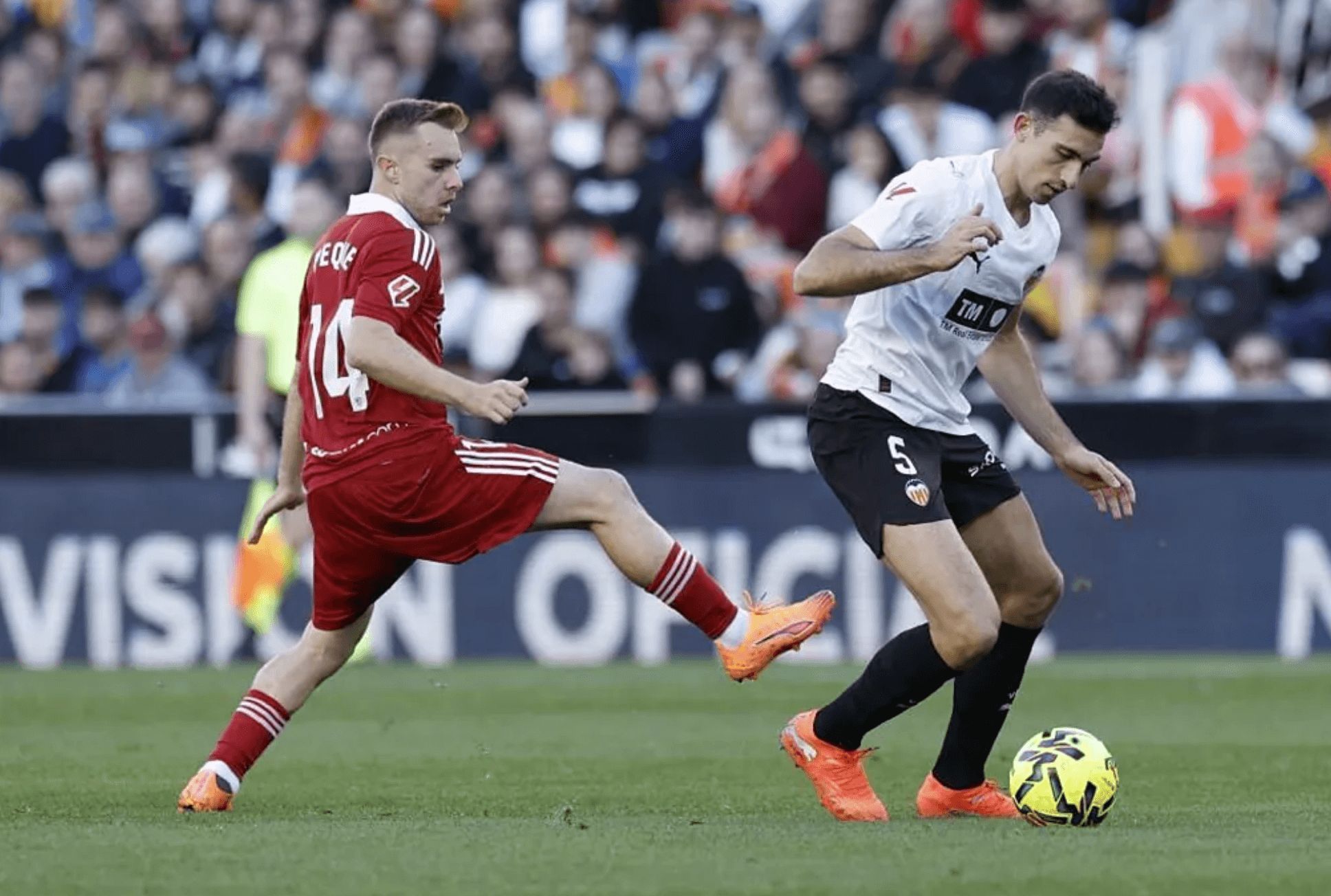  César Tárrega en Mestalla