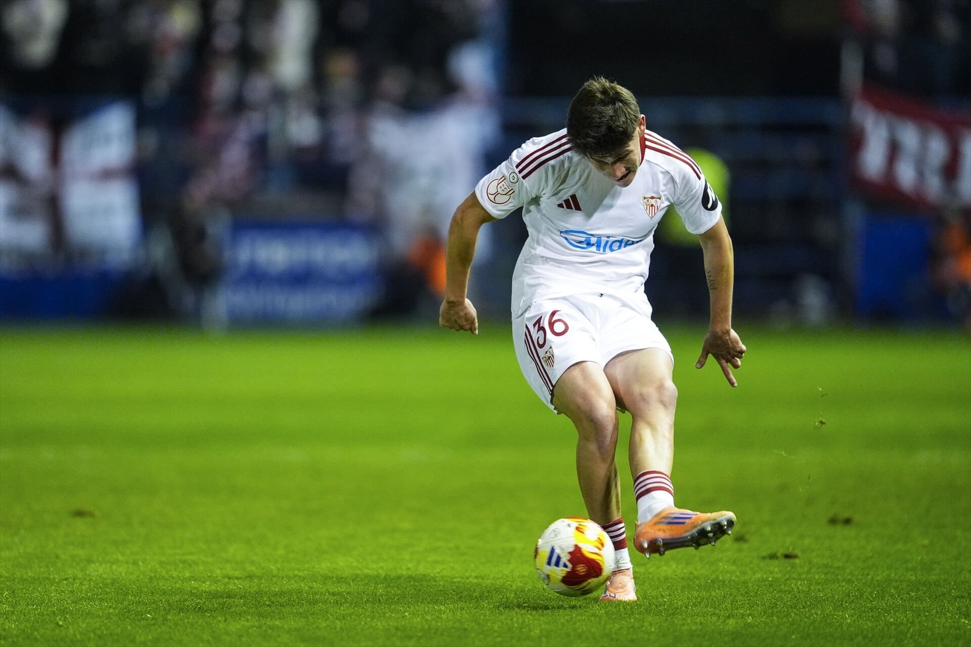  Oso, en el Extremadura-Sevilla.