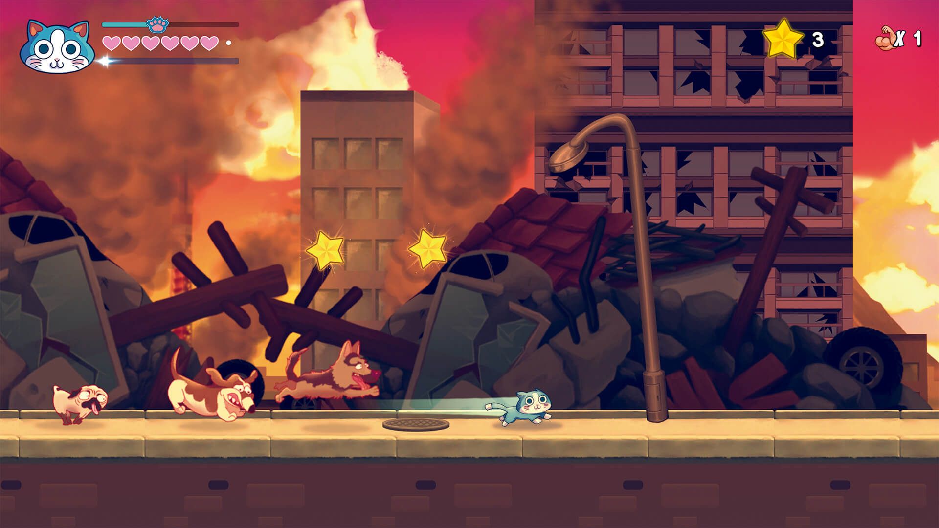 KinnikuNeko: Super Muscle Cat