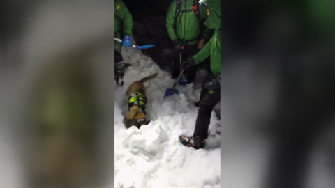 Rescatado el cadáver del montañero atrapado por un alud en el Valle de ...