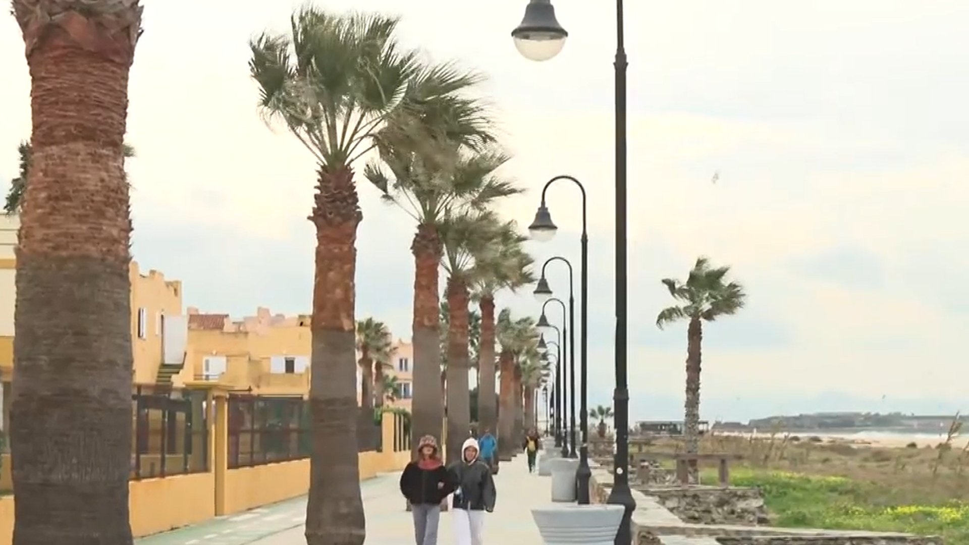 Captura de pantalla 2026-01-02 154230