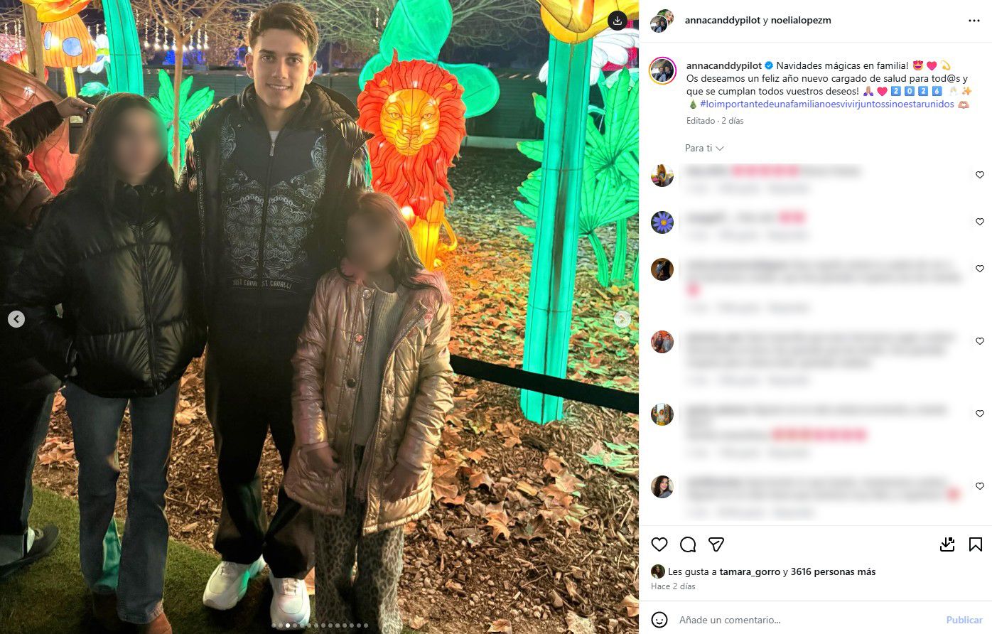 Captura de pantalla 2026-01-02 154511 copia