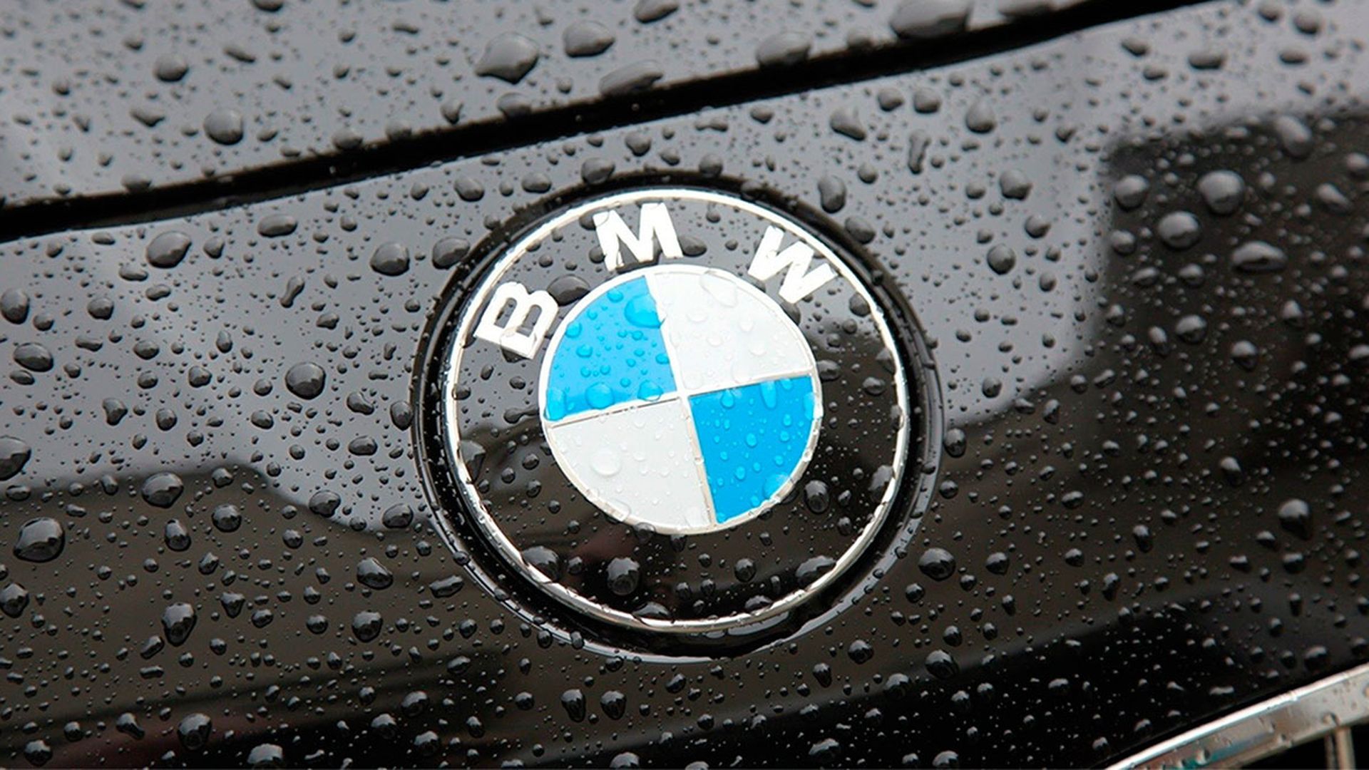 BMW logo BMW logo