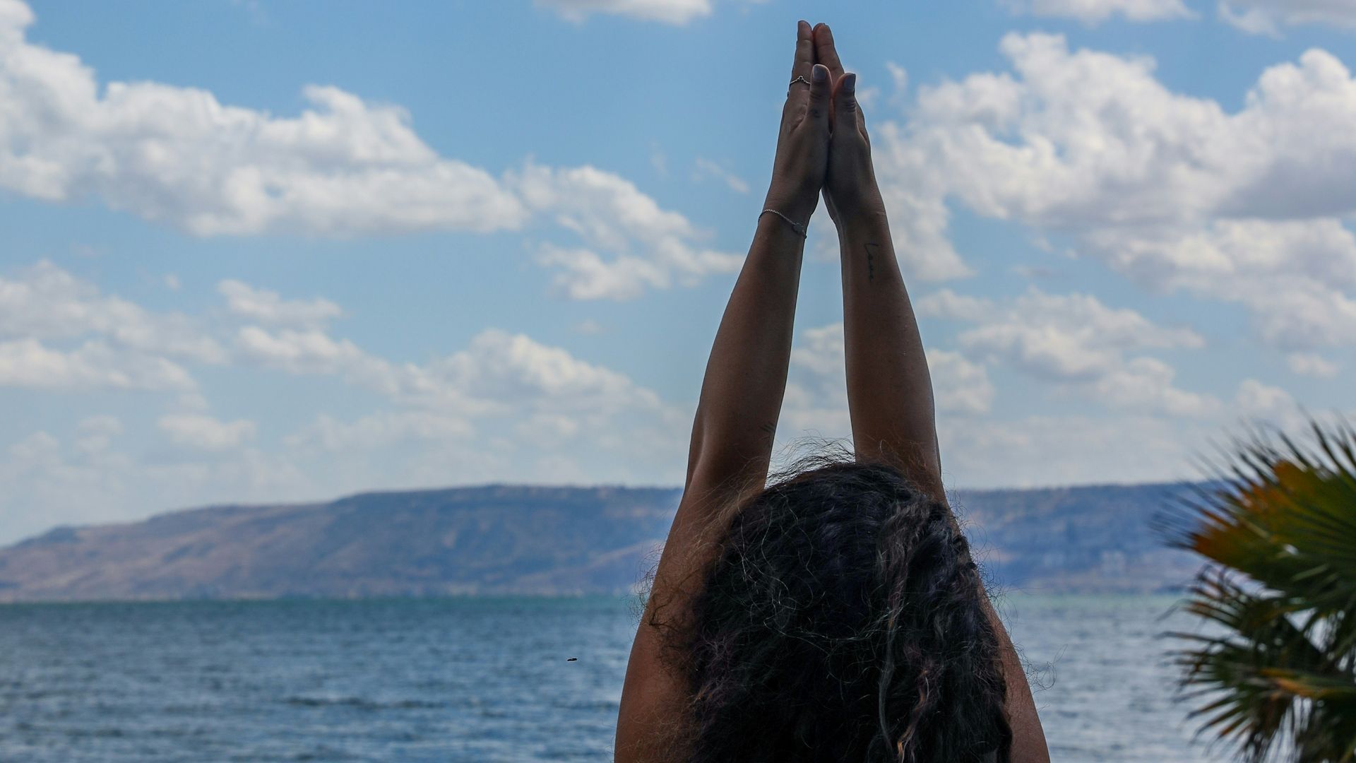 mor-shani-Ldz24MKwN2Q-unsplash