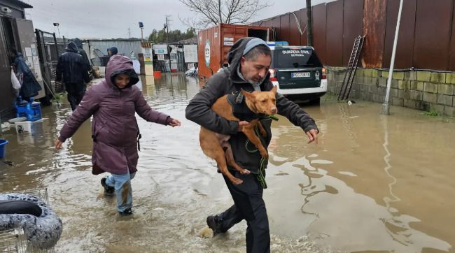 Un hombre y una mujer ponen se ponen a salvo junto a un perro en Los Barrios