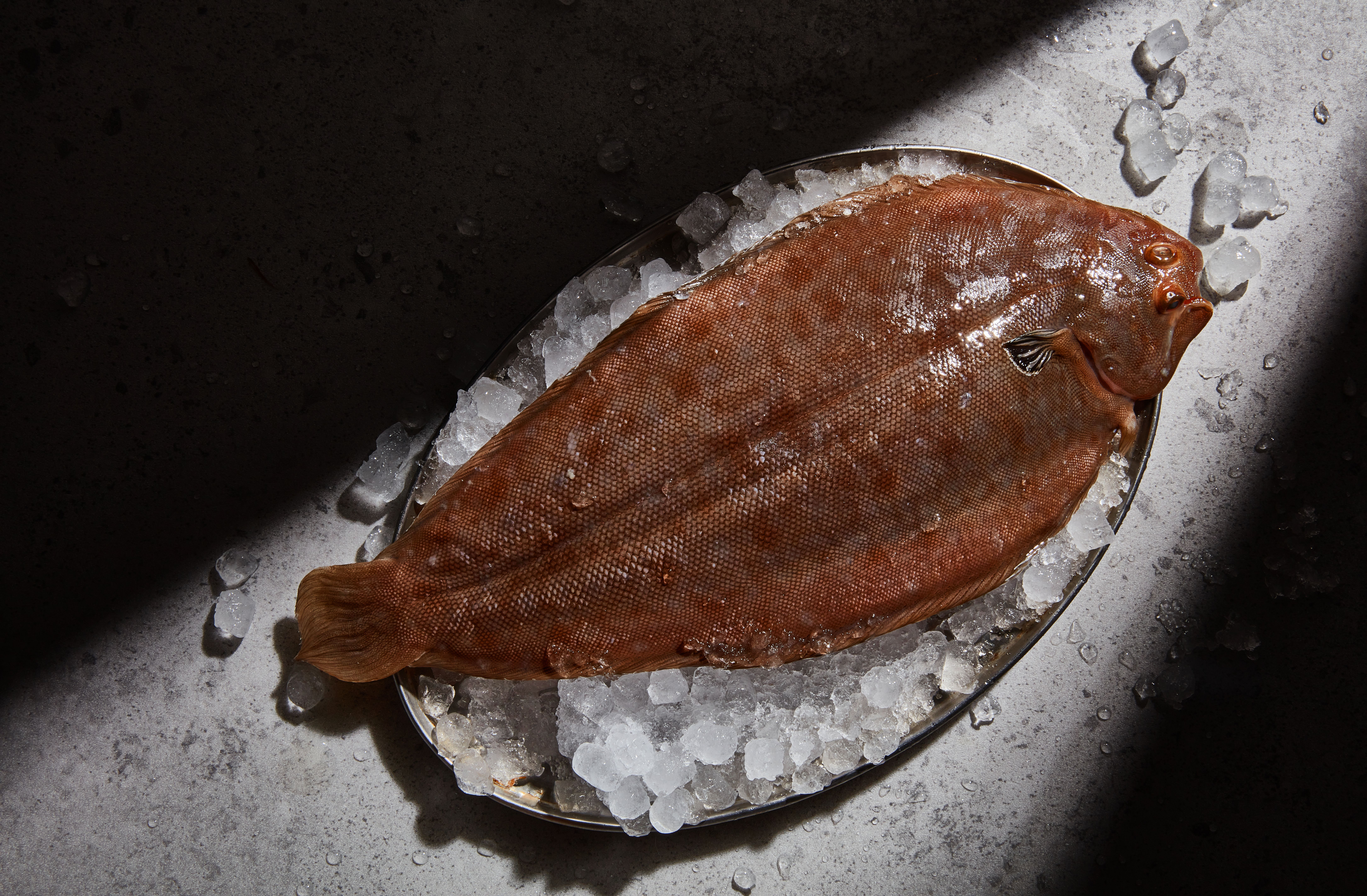 pescado en el restaurante árdia