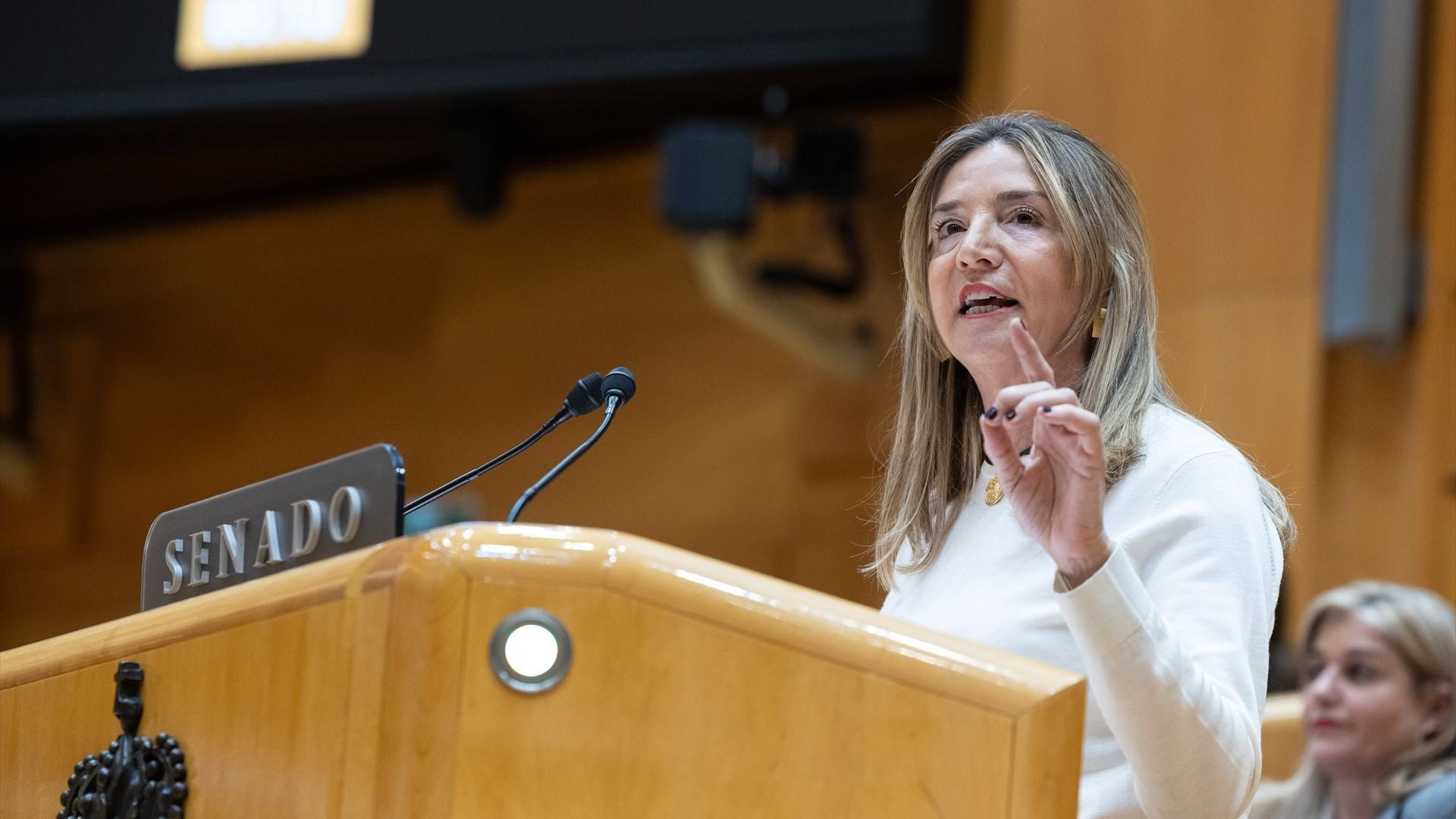 La portavoz del PP en el Senado, Alicia García, interviene durante una sesión de control al Gobierno, en el Senado La portavoz del PP en el Senado, Alicia García, interviene durante una sesión de control al Gobierno, en el Senado