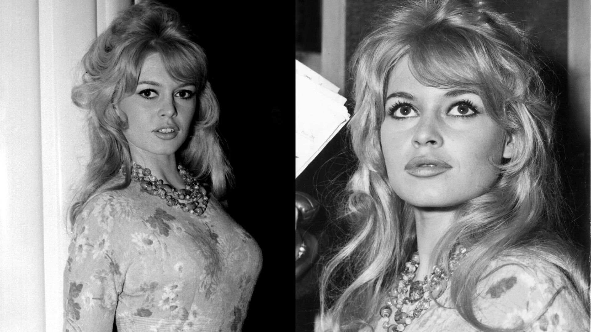 La actriz francesa, Briggitte Bardot