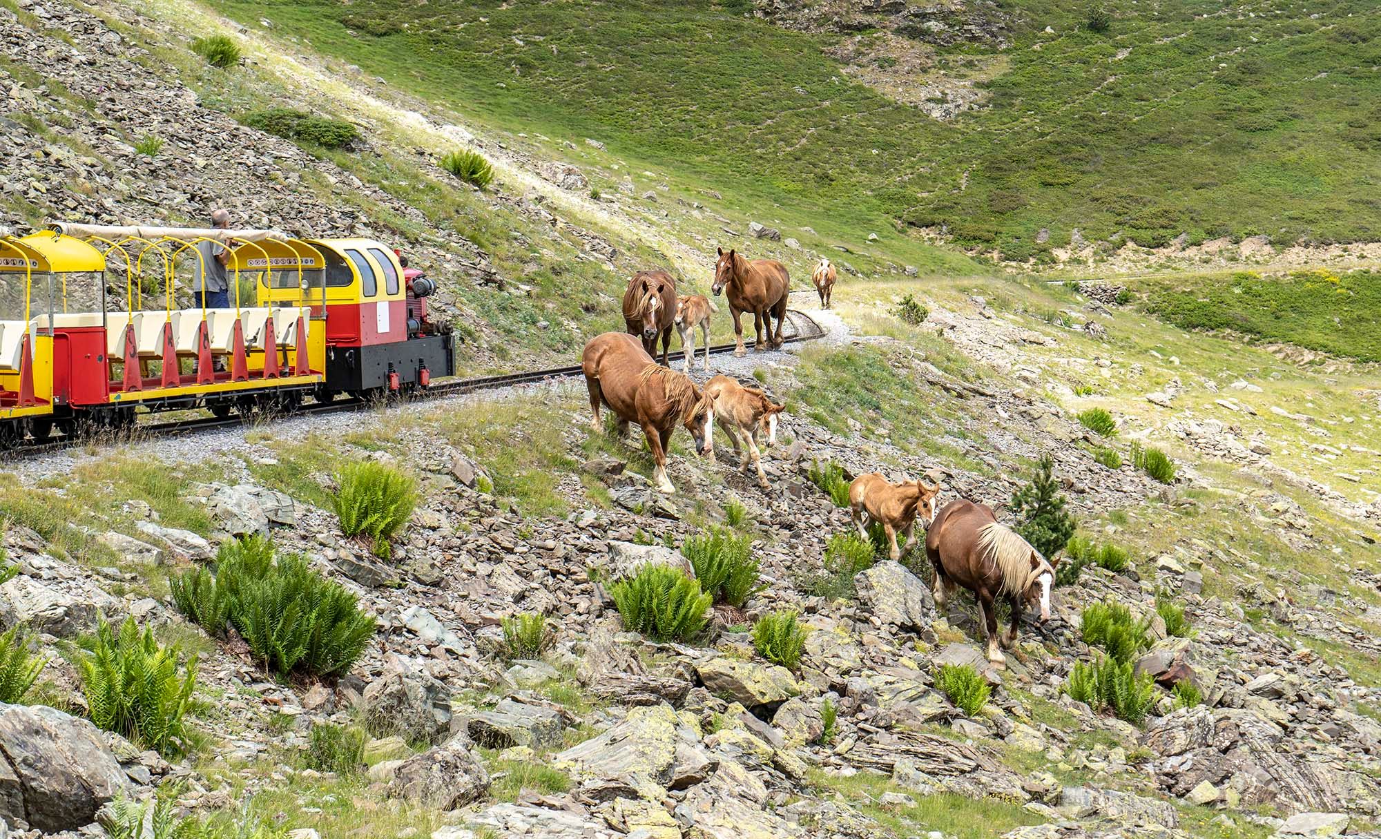 El tren de Artouste haciendo una parada en el camino