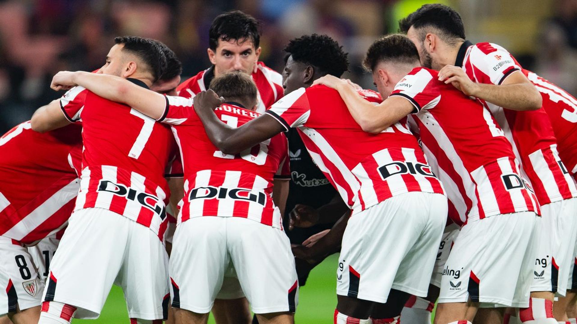 Los leones se juntan en una piña antes de empezar a jugar un partido