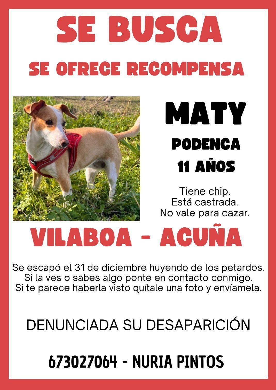 Cartel difundido por la familia para intentar encontrar a la perra Maty