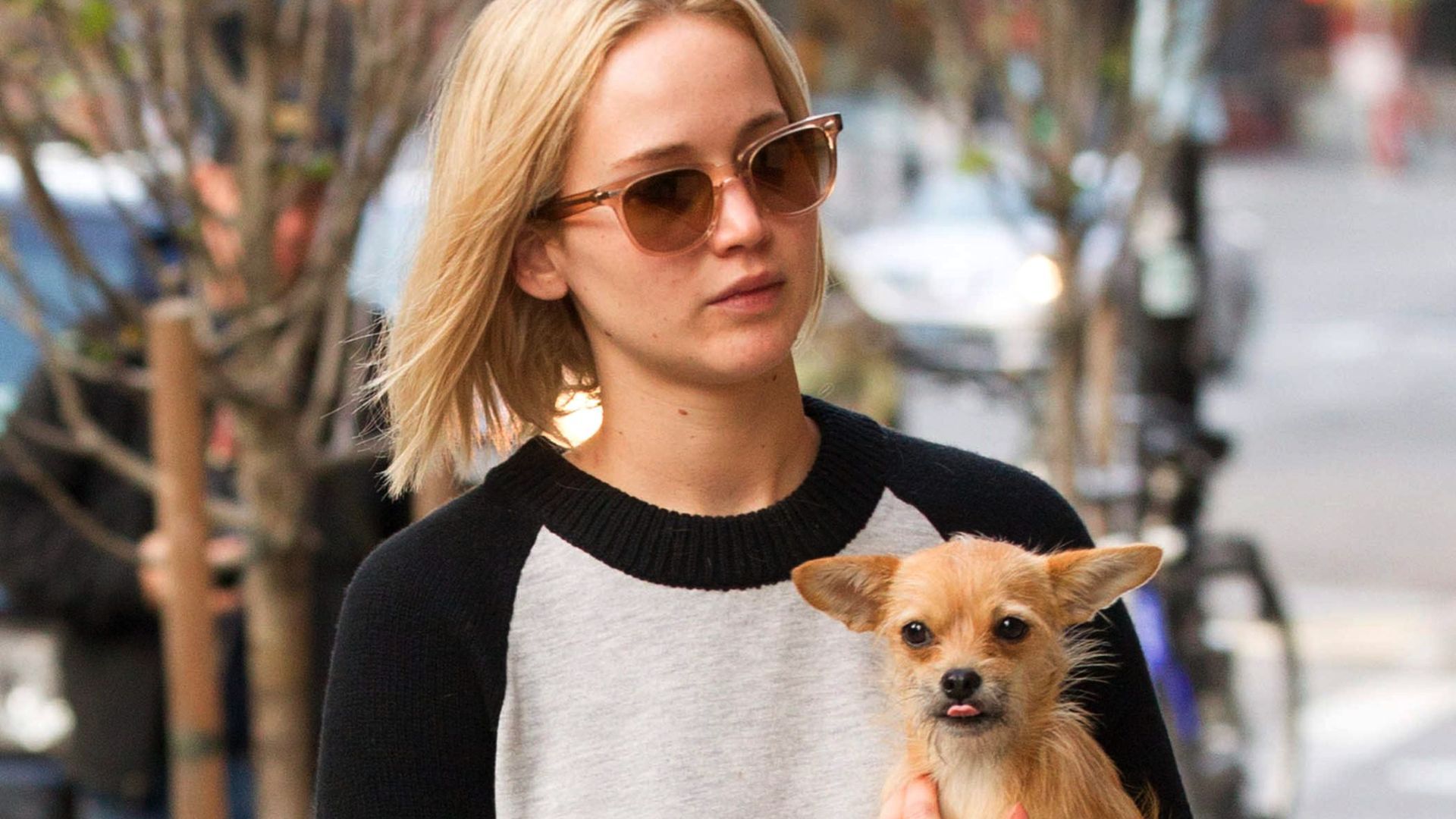 Jennifer Lawrence, con la que era su perra, Pippi