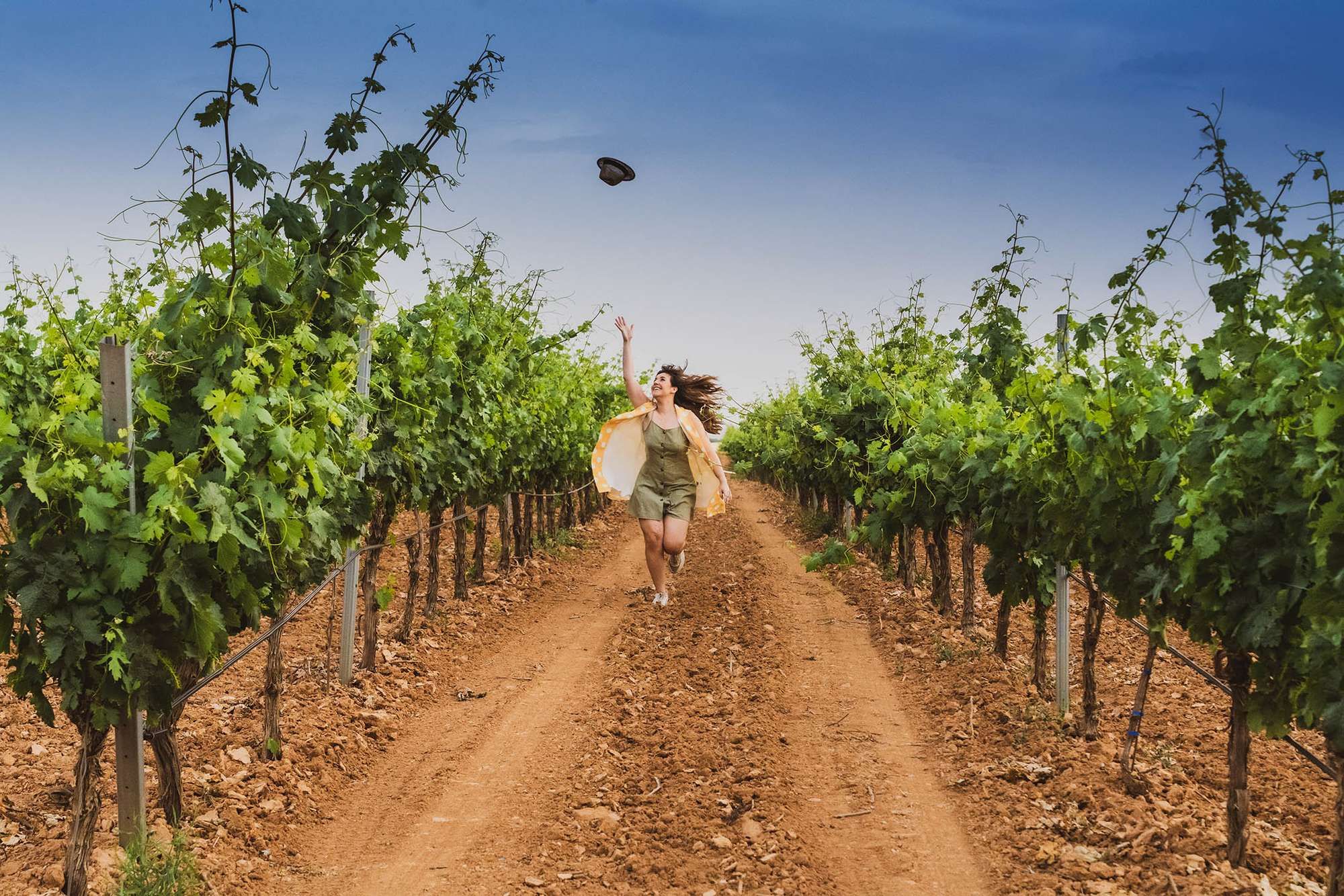 Ruta del vino Ribera del Duero Ruta del vino Ribera del Duero