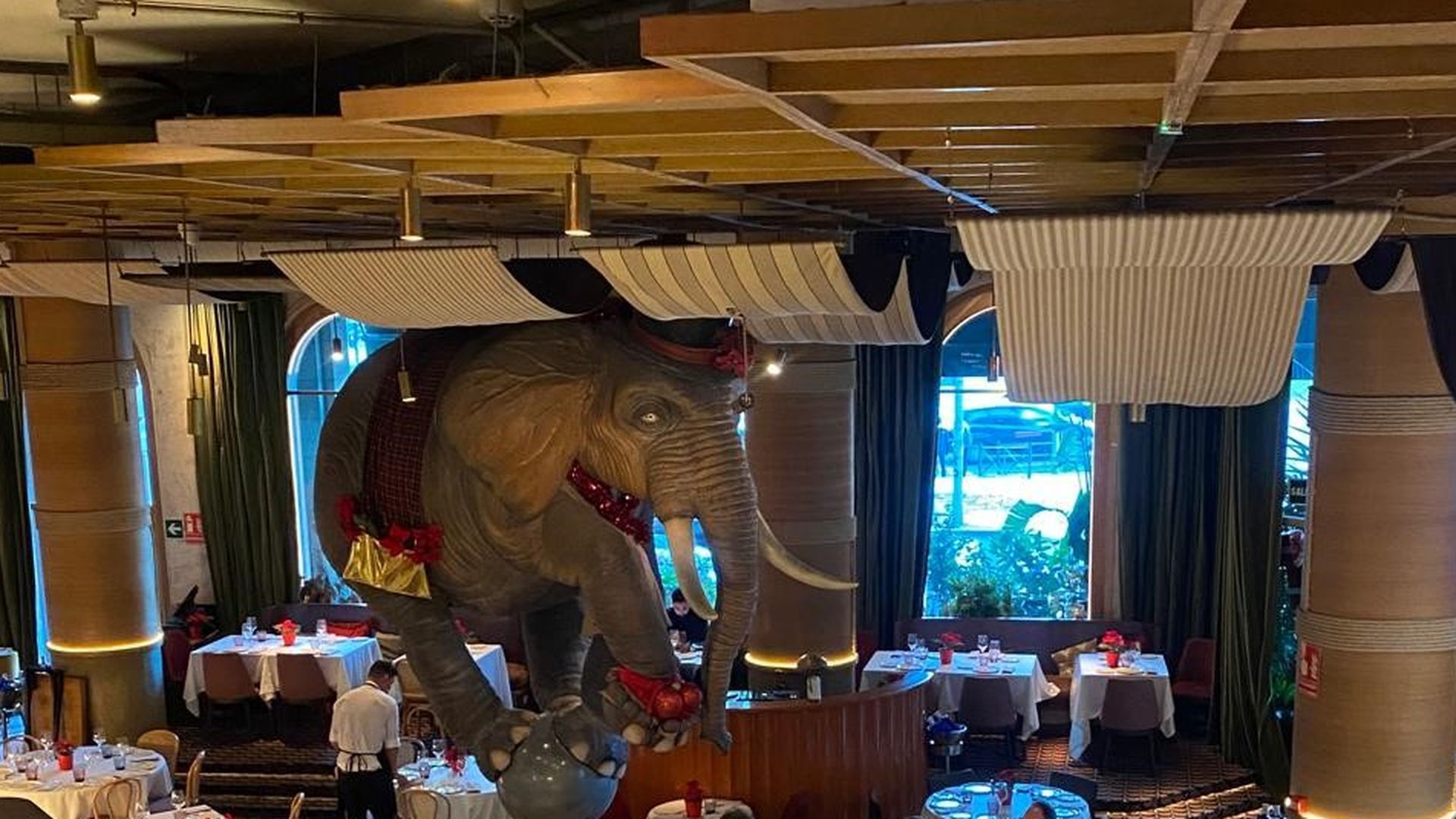 Imagen del interior del restaurante Fanático de Madrid