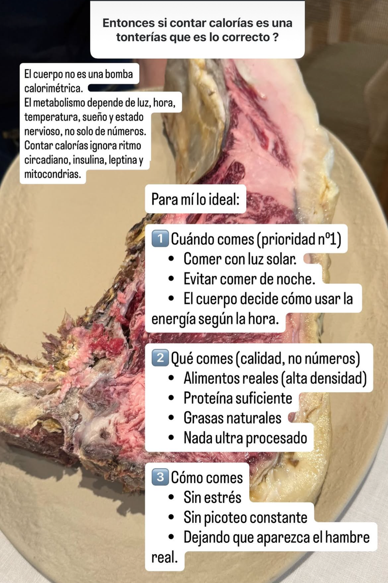Sus principales pautas