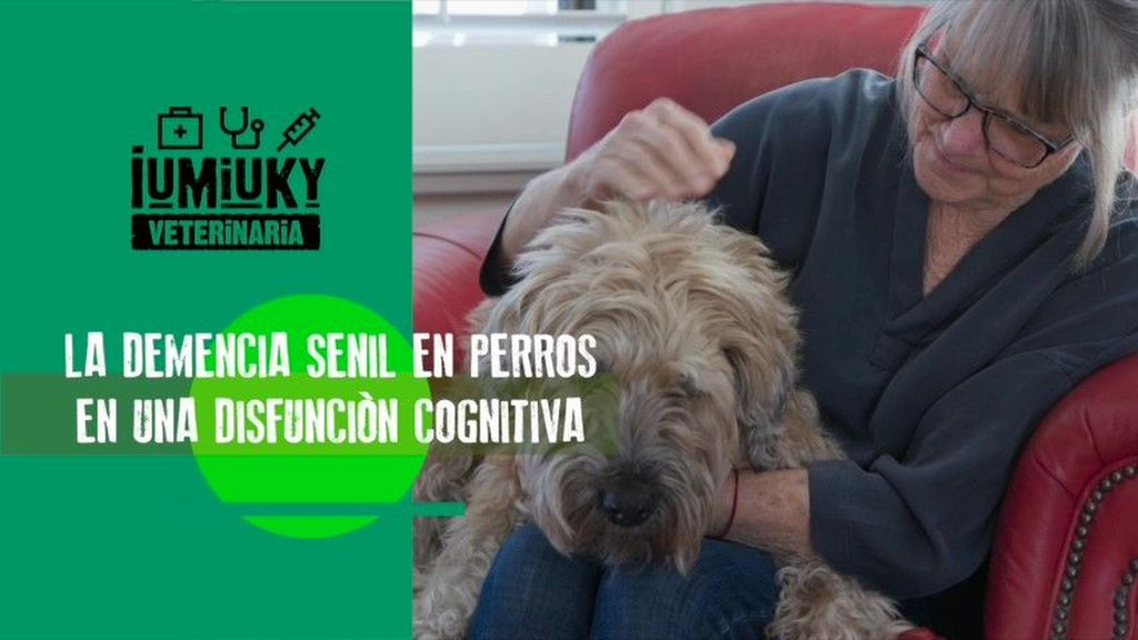 IUMUKY - Programa 173