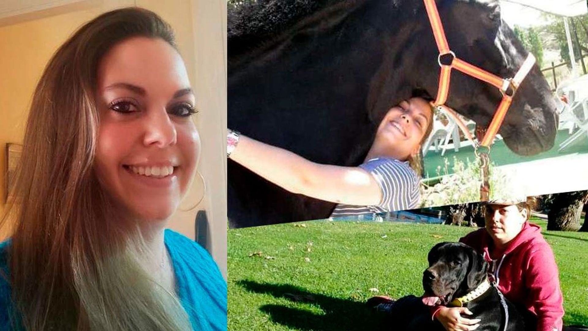 ana de galgo ana de galgo