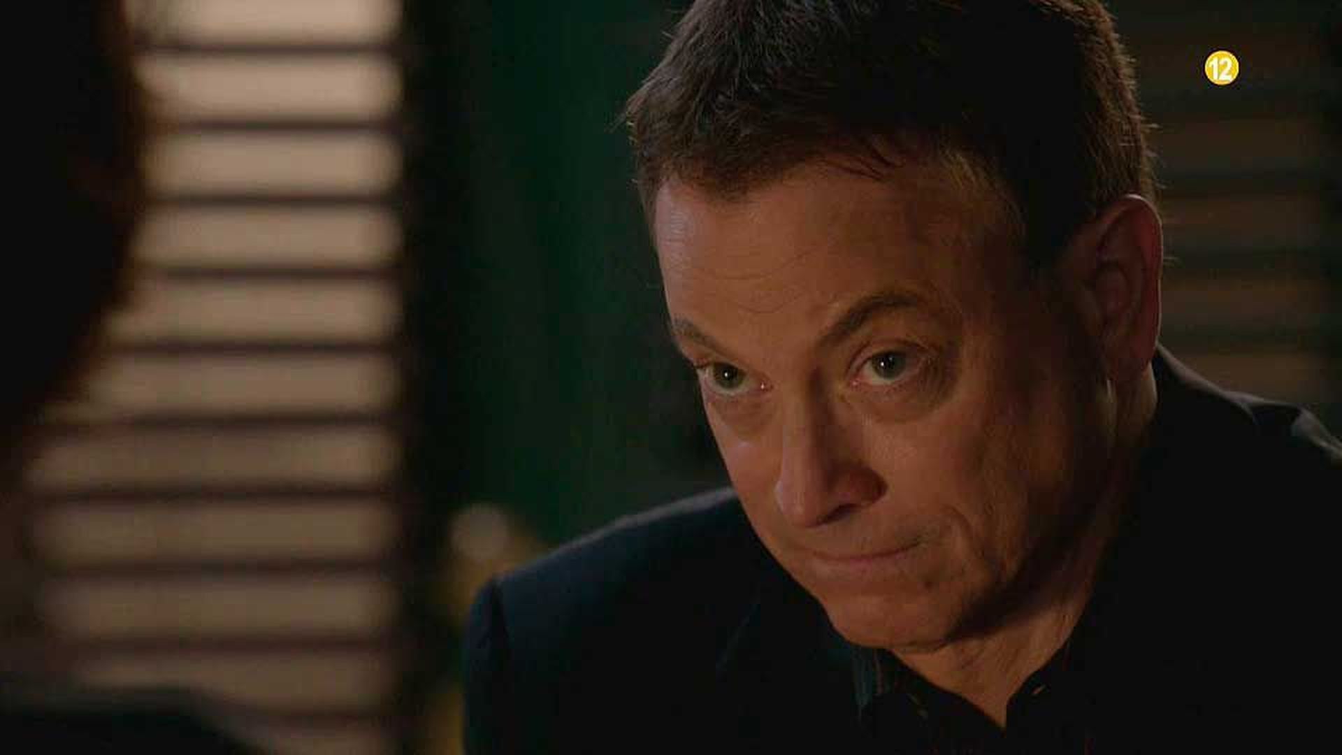 csinuevayork csinuevayork